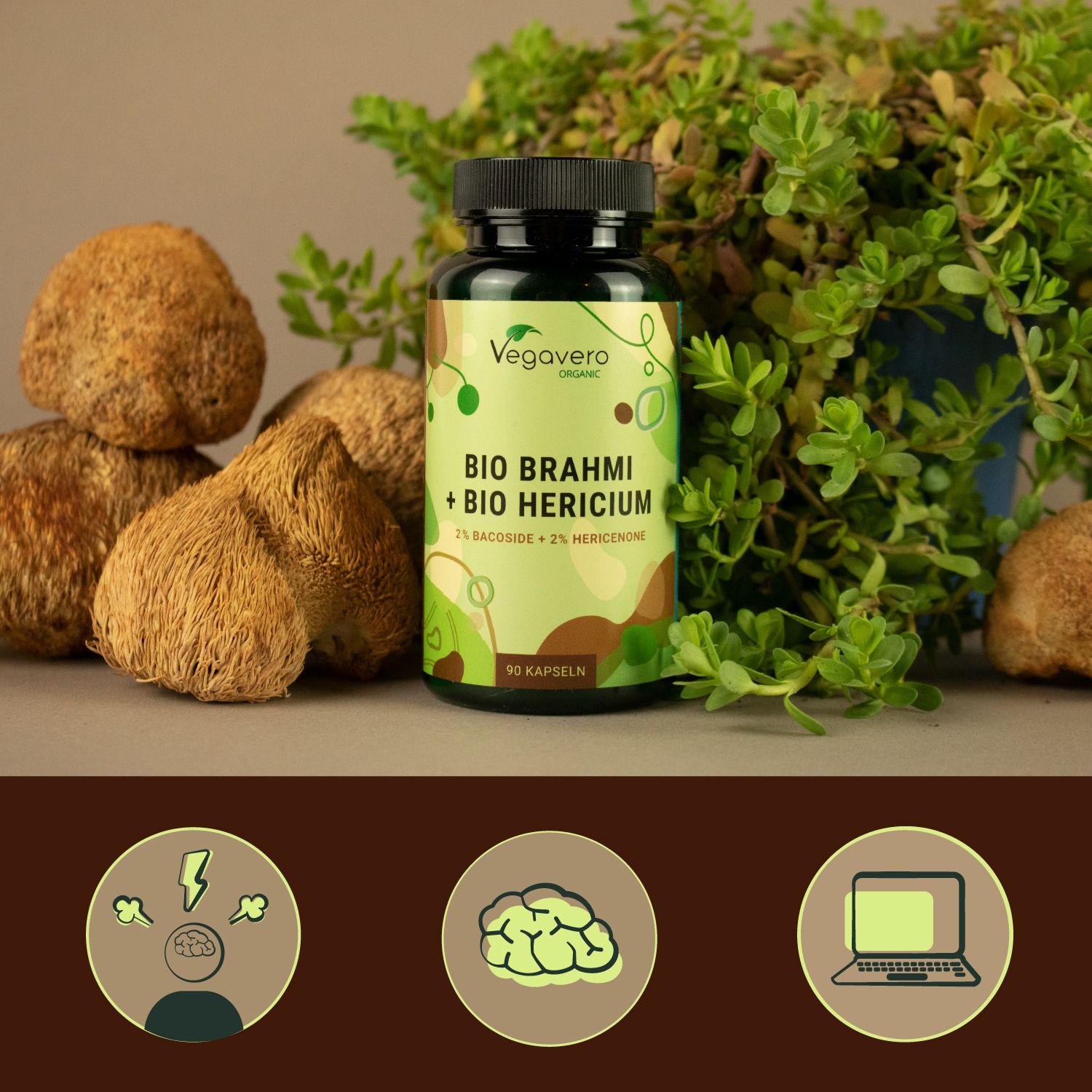 Grüne Flasche mit schwarzen Deckel. Aufschrift: BIO BRAHMI + BIO HERCIUM. 90 Kapseln. Umgeben von Pflanzen und Pilzen.