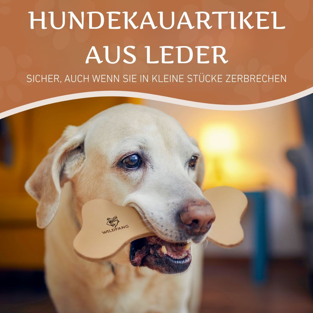 Hund kaut auf einem Lederknochen. Der Knochen hat die Form eines Knochens. Auf dem Knochen ist das WILDFANG® Logo zu sehen.
