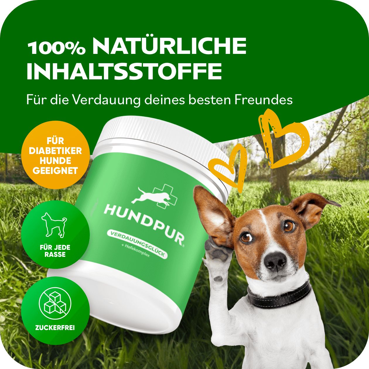 Produktglas mit grünem Etikett, Hund und Logo. Text: 100% natürliche Inhaltsstoffe. Siegel: Für Diabetiker Hunde geeignet, Zuckerfrei.