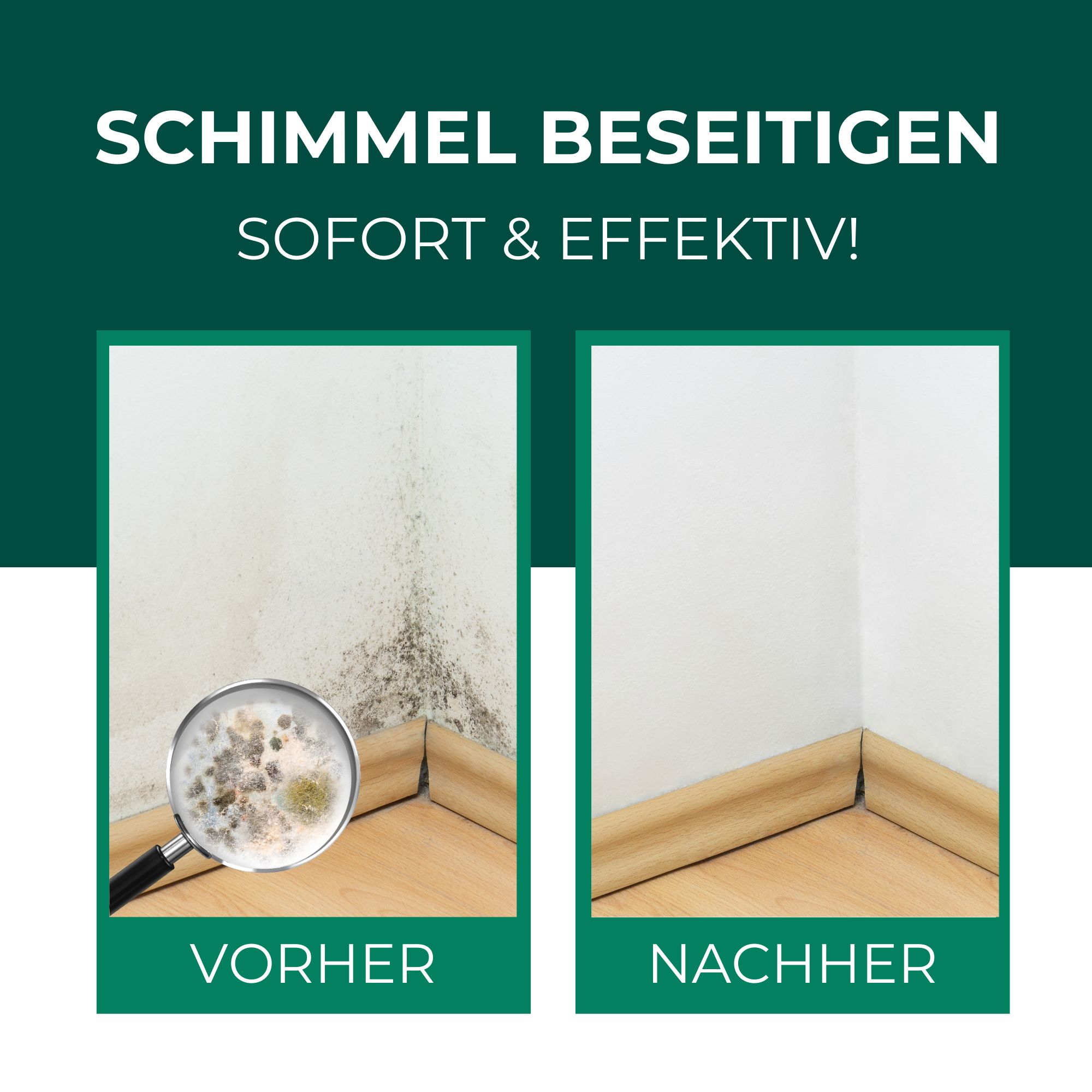SILBERKRAFT Schimmelentferner mit E-Book