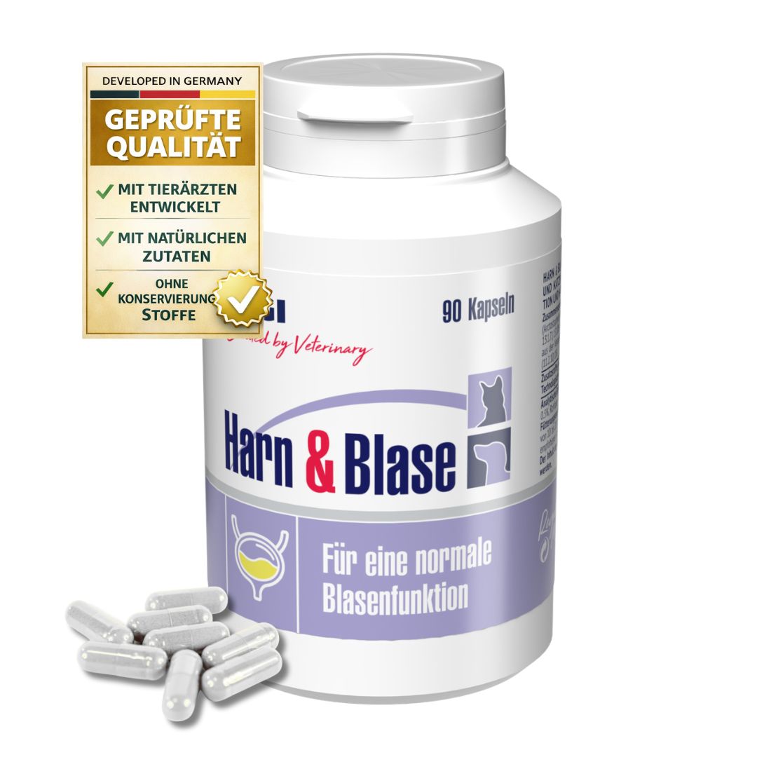 Weiße Flasche mit Kapseln. Aufschrift: Harn & Blase. Text: Für eine normale Blasenfunktion. Geprüfte Qualität. Logo: GIGI VET.