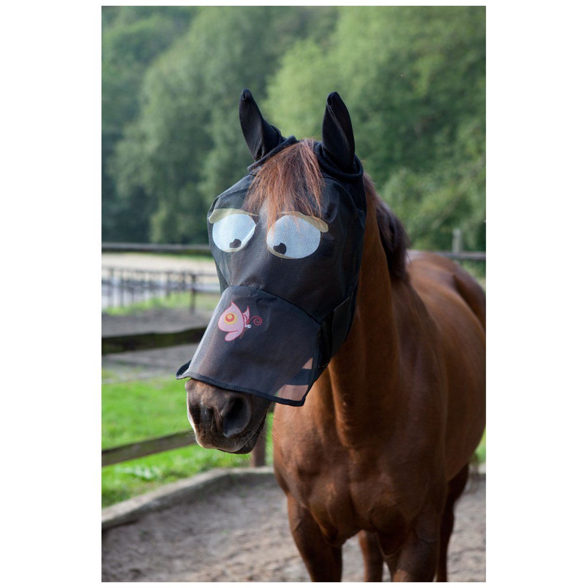 PFIFF Fliegenmaske auf einem Pferd. Schwarze Maske mit Augen- und Schmetterlingsmotiv.