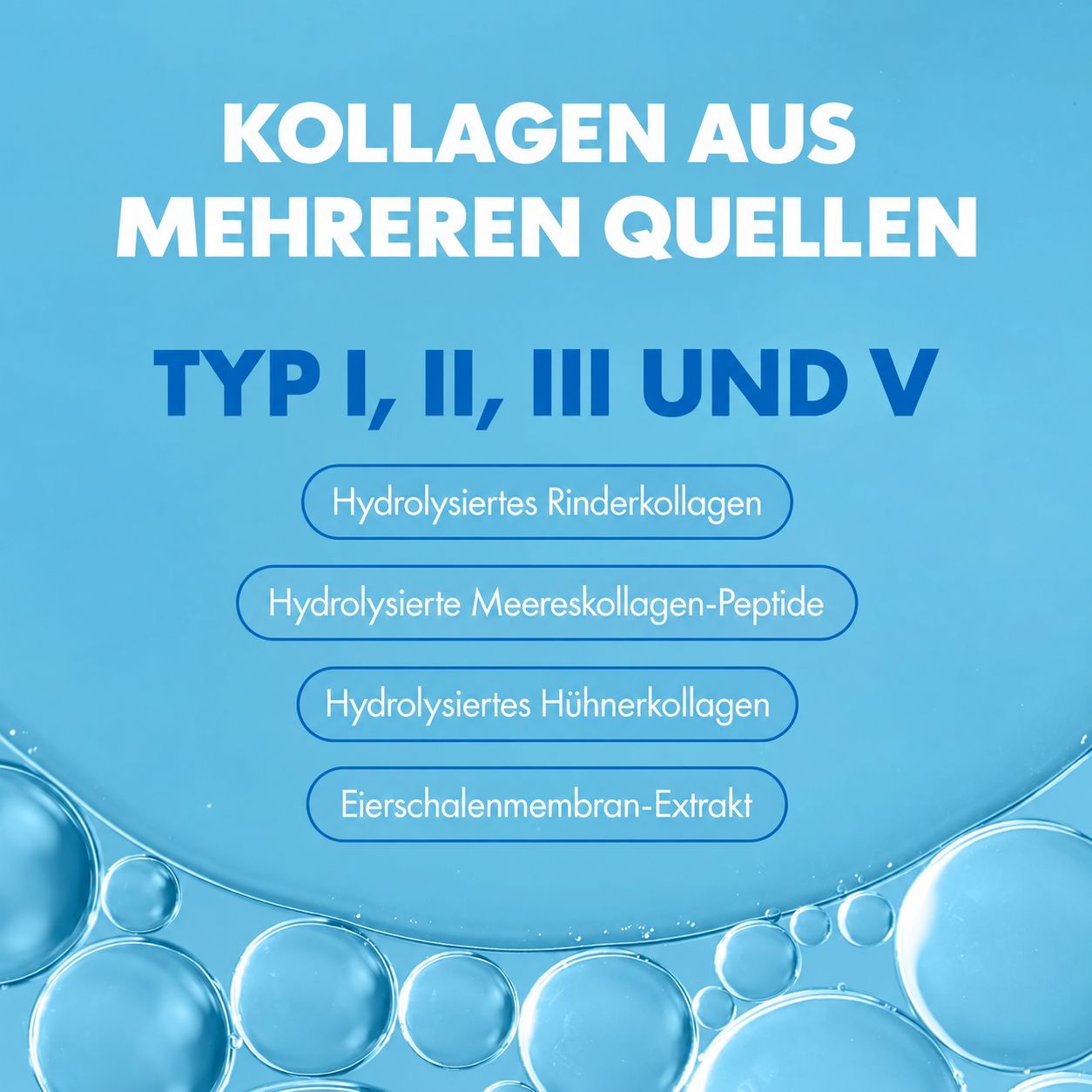 Grafik mit Kollagenquellen: Rind, Meer, Huhn, Eierschalenmembran.