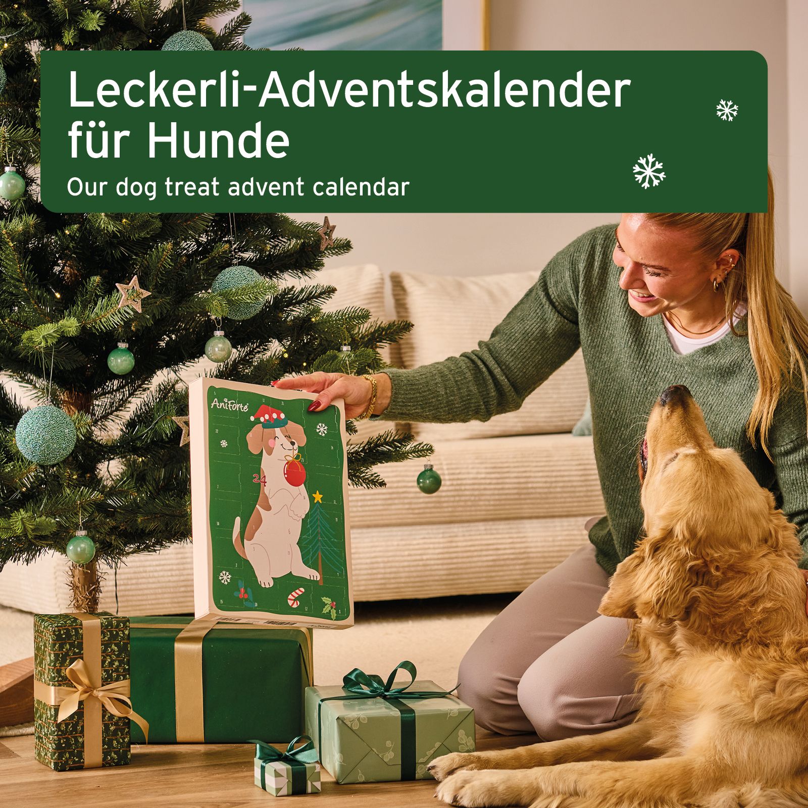 Ein Adventskalender für Hunde mit einem Hund, der einen Weihnachtsmannhut und eine Weihnachtskugel hält.
