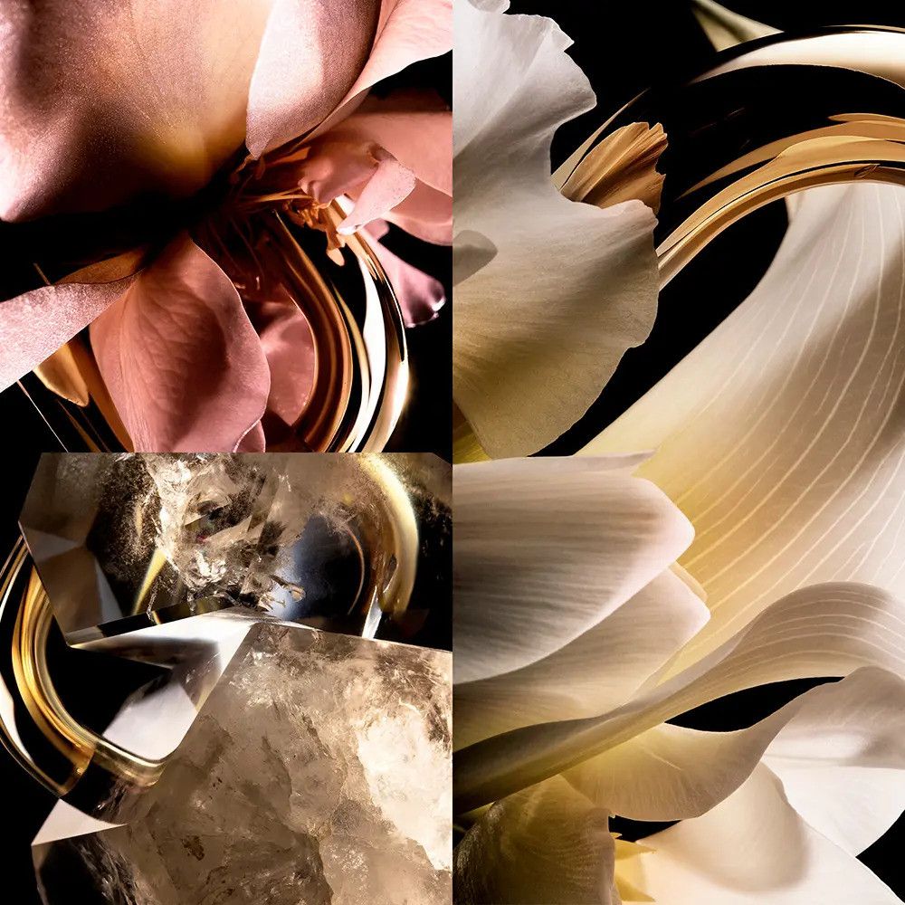 Nahaufnahme von Blütenblättern und Kristallen in Gold- und Rosatönen. Schwarzer Hintergrund.