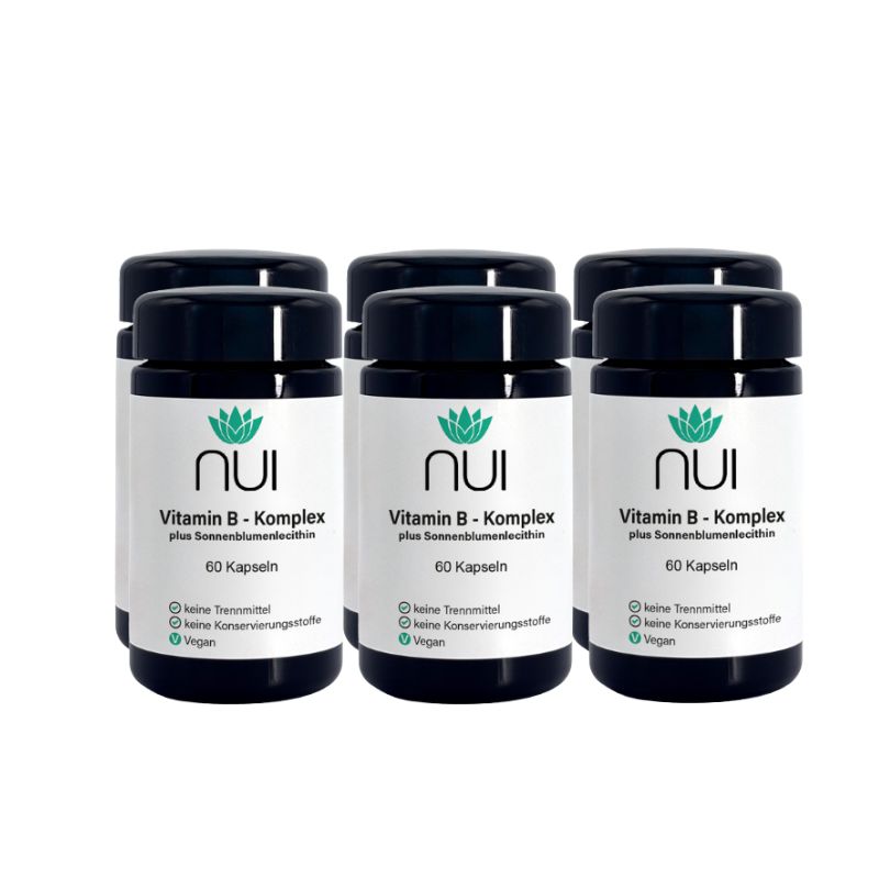 NUI Vitamin B Komplex