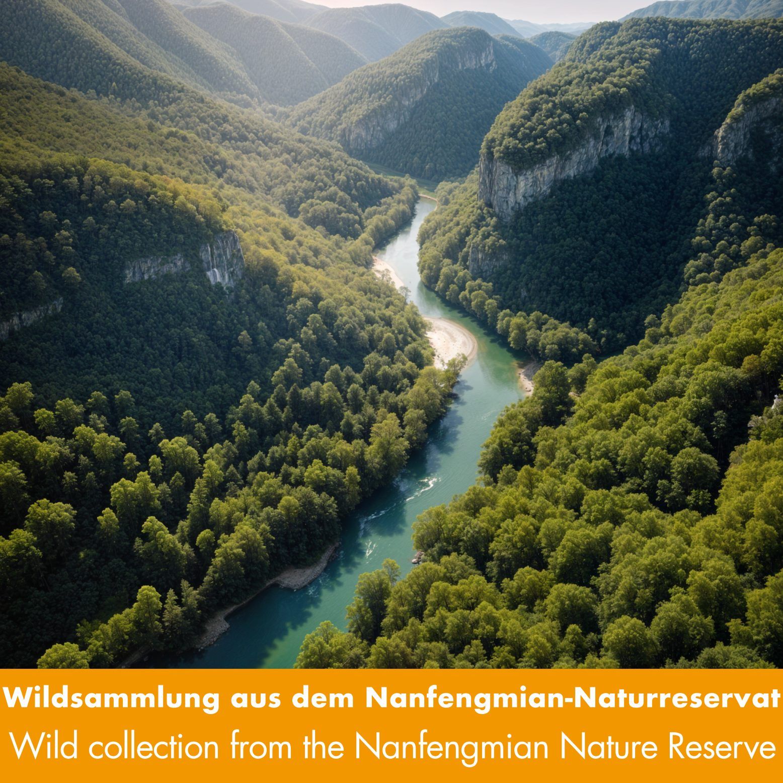 Landschaftsbild mit Fluss durch Wald. Text: Wildsammlung aus dem Nanfengmian-Naturreservat.