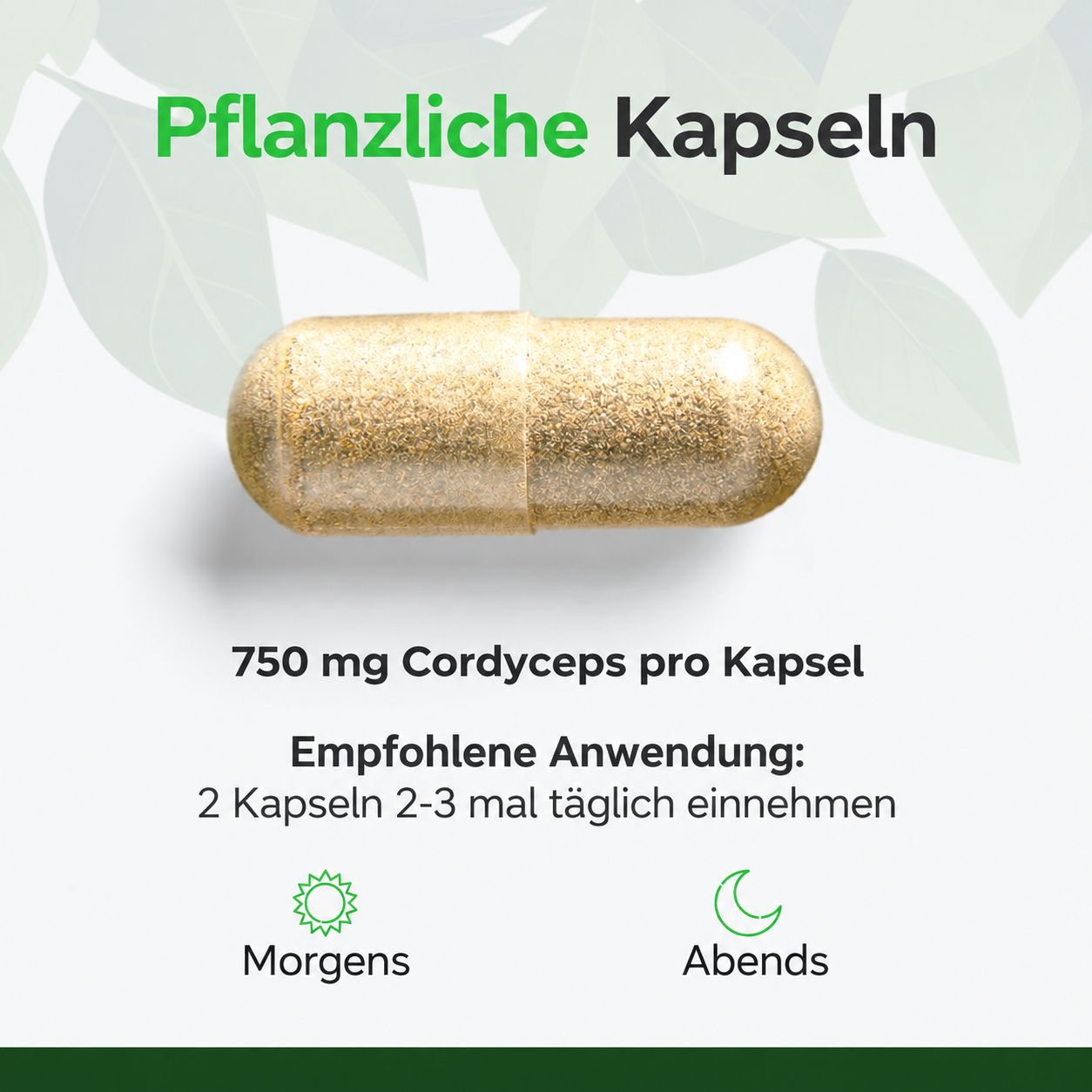 Eine pflanzliche Kapsel mit 750 mg Cordyceps pro Kapsel.