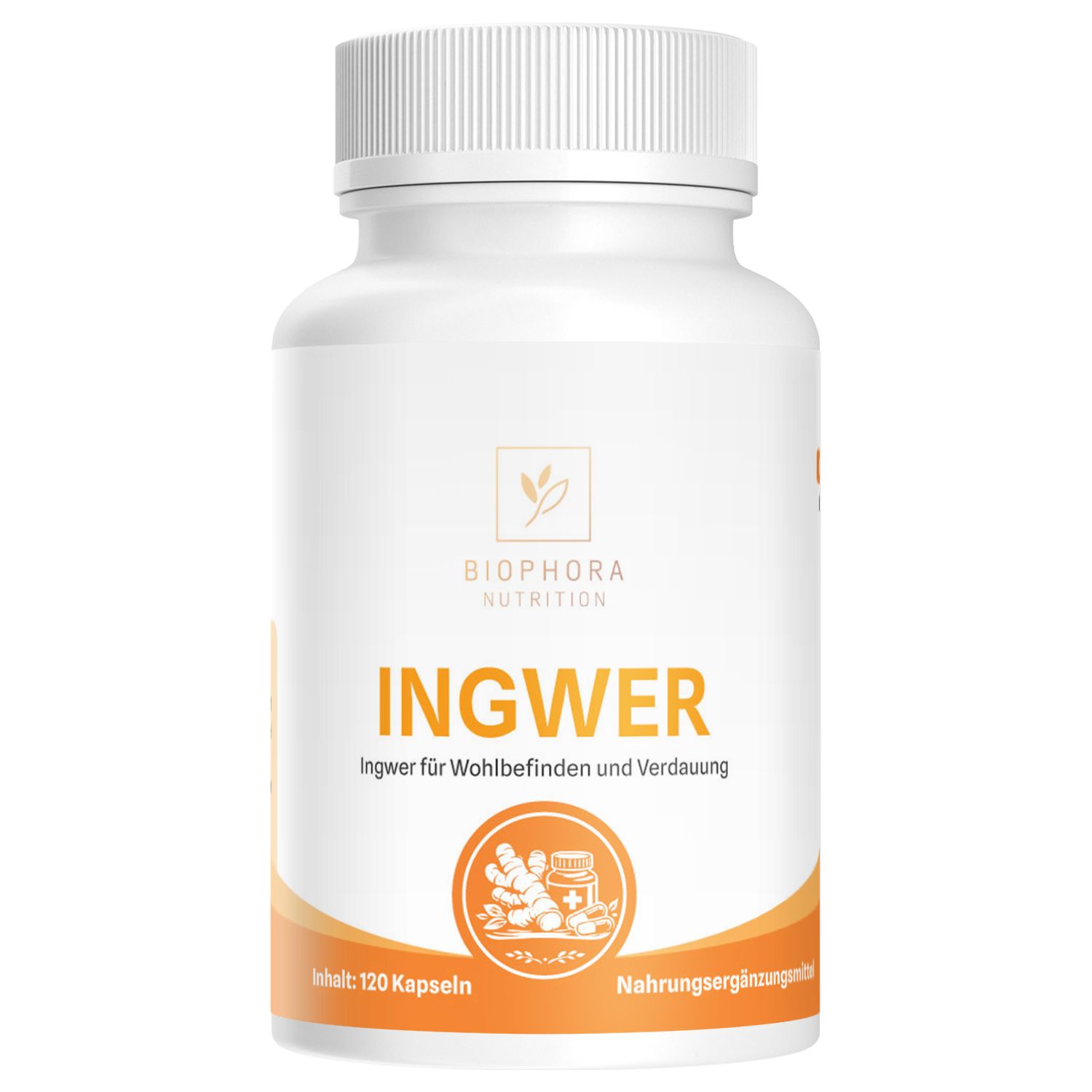 Weiße Flasche mit Ingwer-Kapseln. Aufschrift: Biophora Nutrition, Ingwer. Abbildung von Ingwerwurzeln und Kapseln. Inhalt: 120 Kapseln.