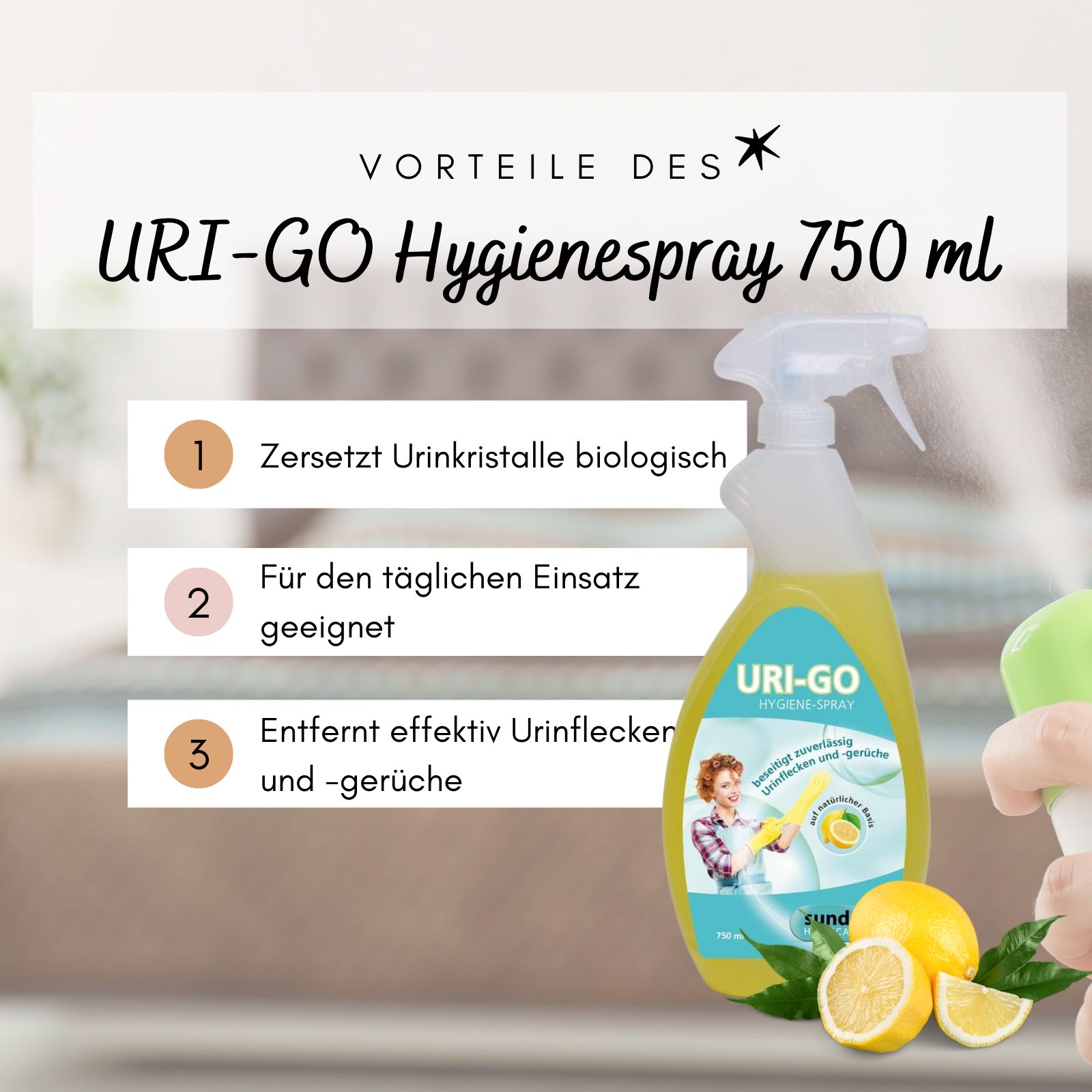 URI-GO Hygienespray 750 ml – Urinflecken- & Geruchsentferner mit Zitronenduft