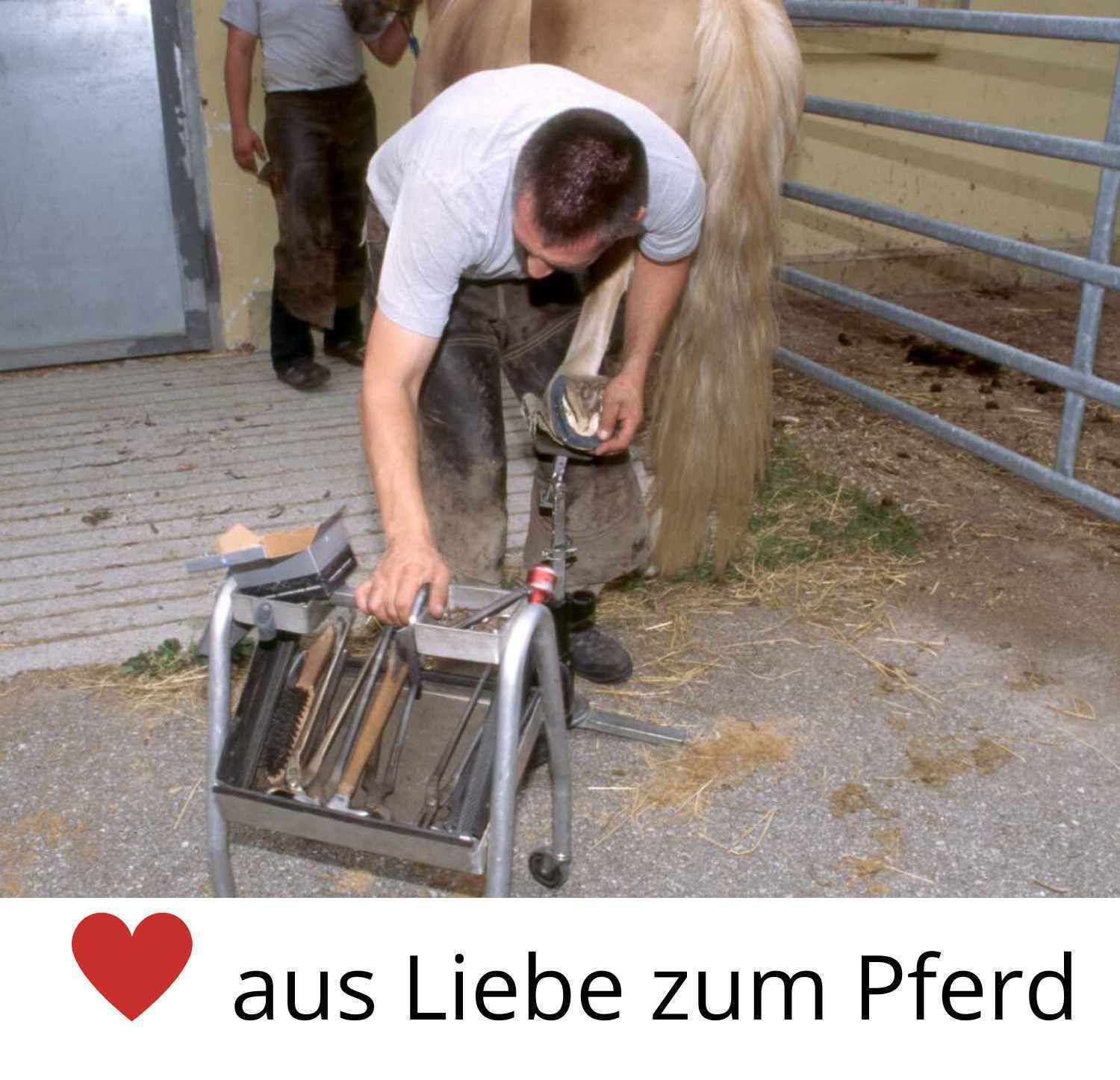 AMKA Hufeisen Pferdehufeisen 0 Vorne