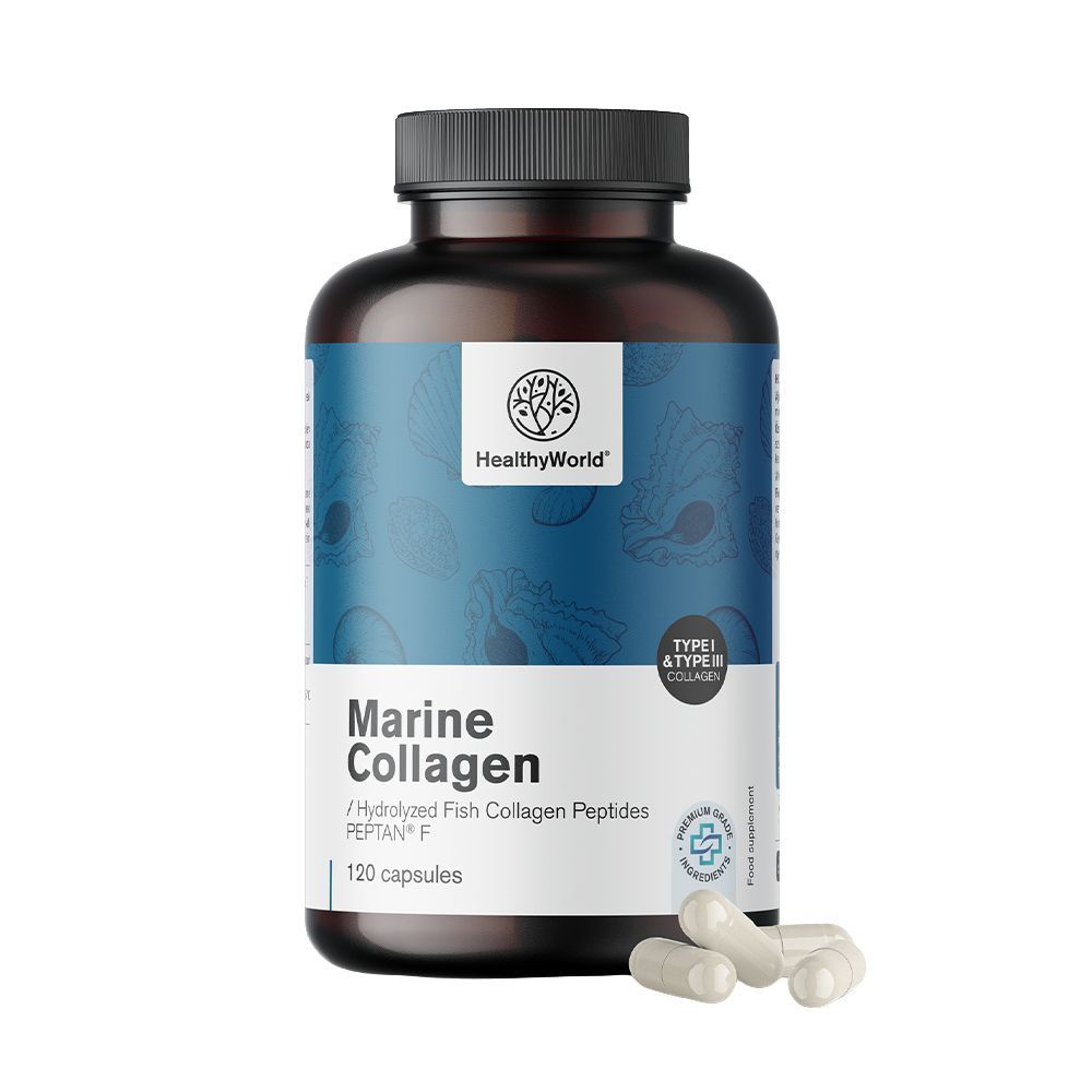 Braune Flasche mit Kapseln. Aufschrift: Marine Collagen, 120 Kapseln, HealthyWorld. Typ I & III.