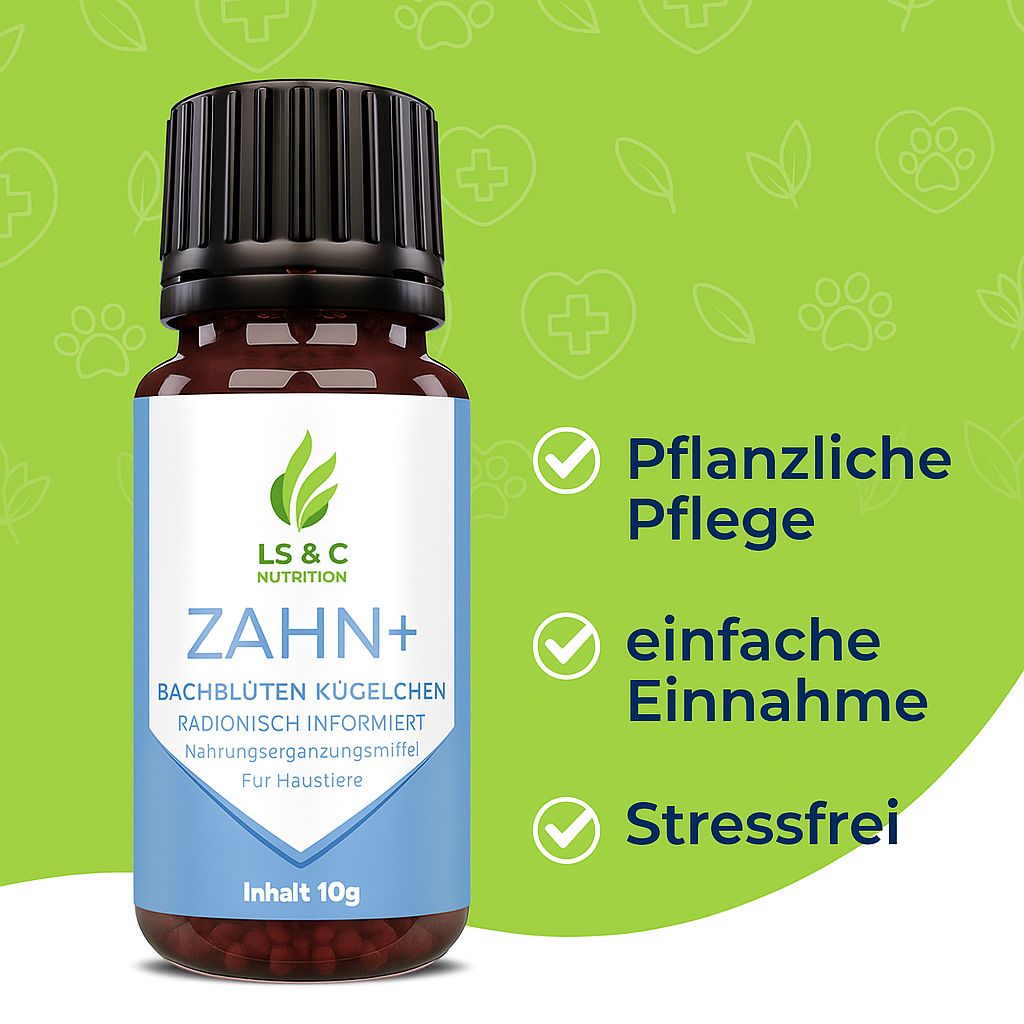 Braune Glasflasche mit schwarzem Deckel. Etikett mit Logo, Produktname ZAHN+ und Text. Zusätzliche Textfelder: Pflanzliche Pflege, einfache Einnahme, Stressfrei.