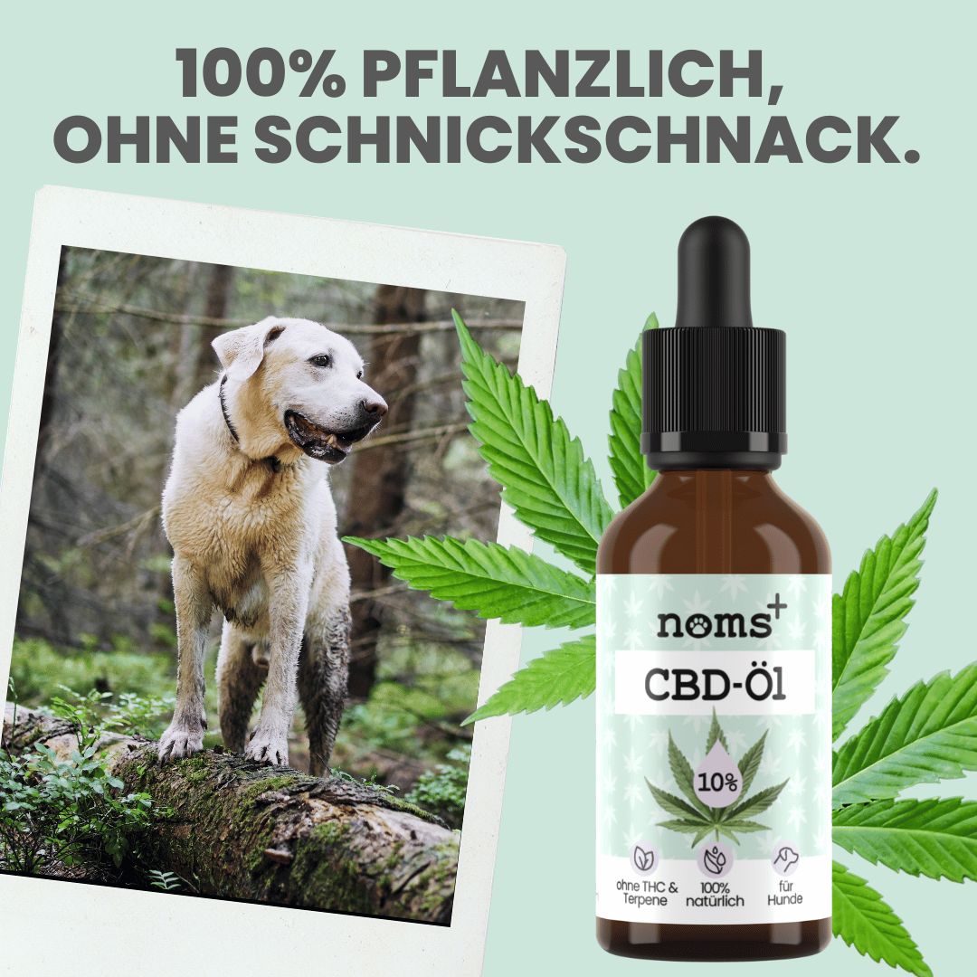 10% CBD Tropfen für Hunde aus Deutschland