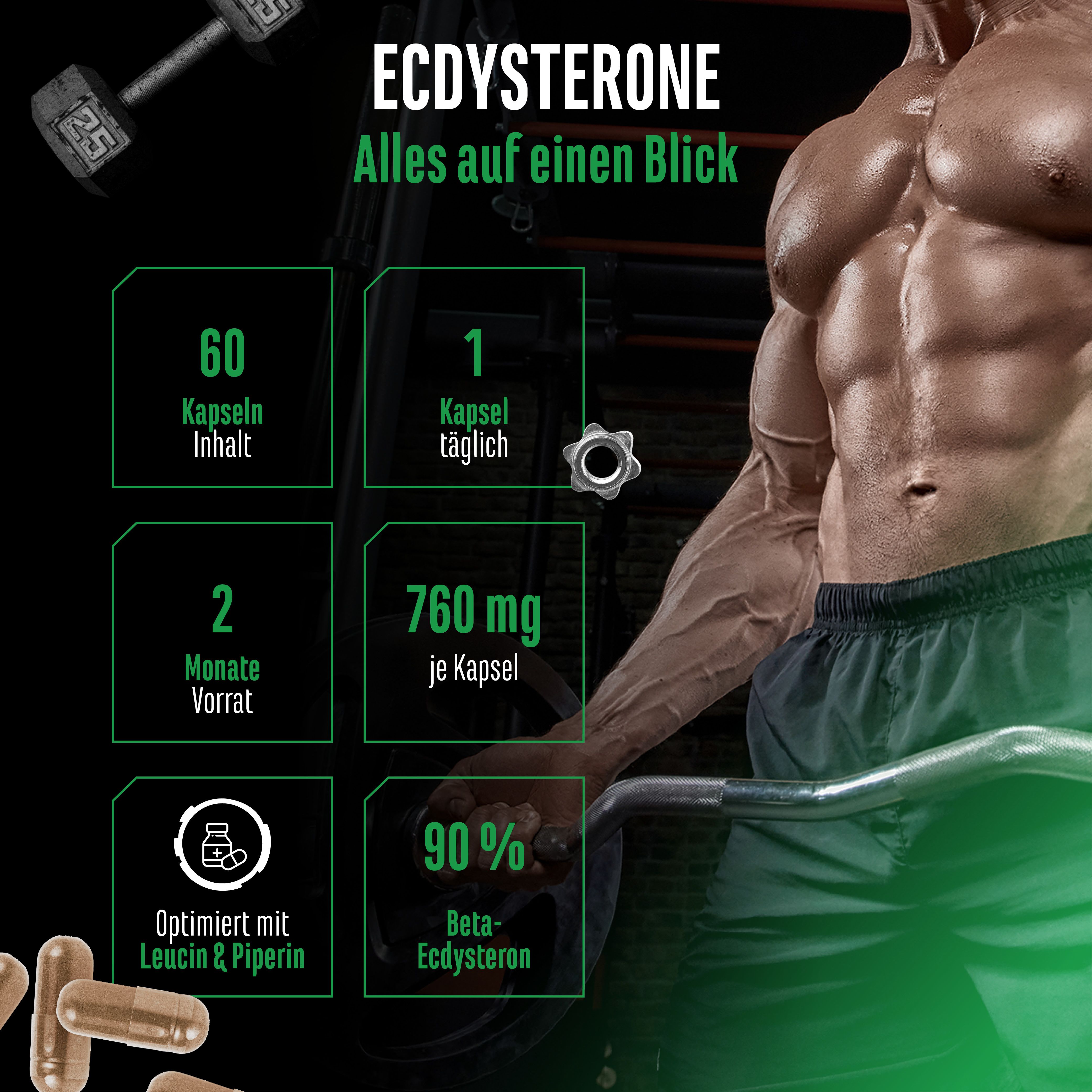 Grafik mit Informationen zu Ecdysteron. Enthält Angaben zu Kapselanzahl, Dosierung und Inhaltsstoffen. Muskulöser Mann im Hintergrund.