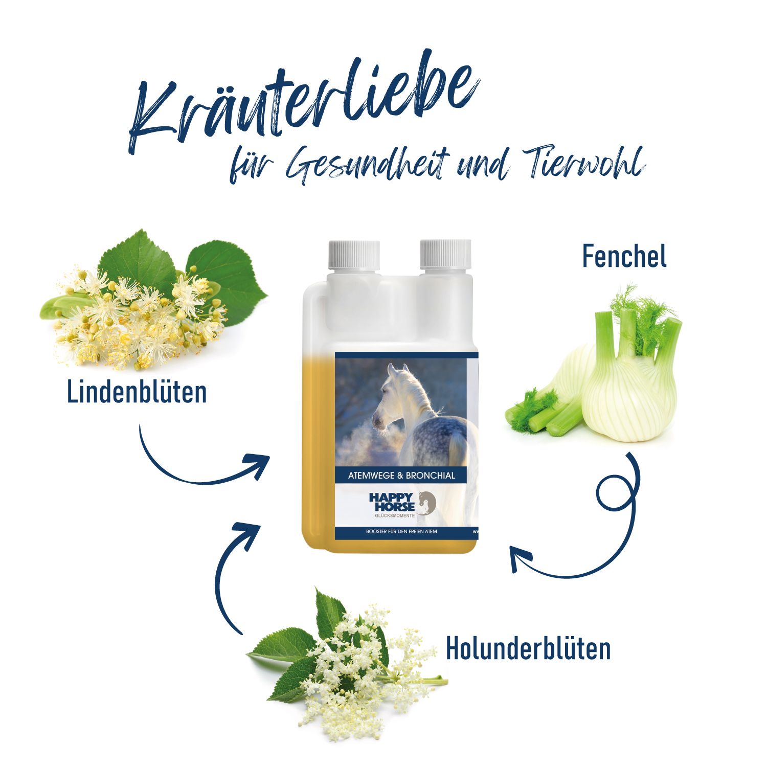 Flasche umgeben von Kräutern (Lindenblüten, Fenchel, Holunderblüten) mit Pfeilen, die auf die Flasche zeigen.