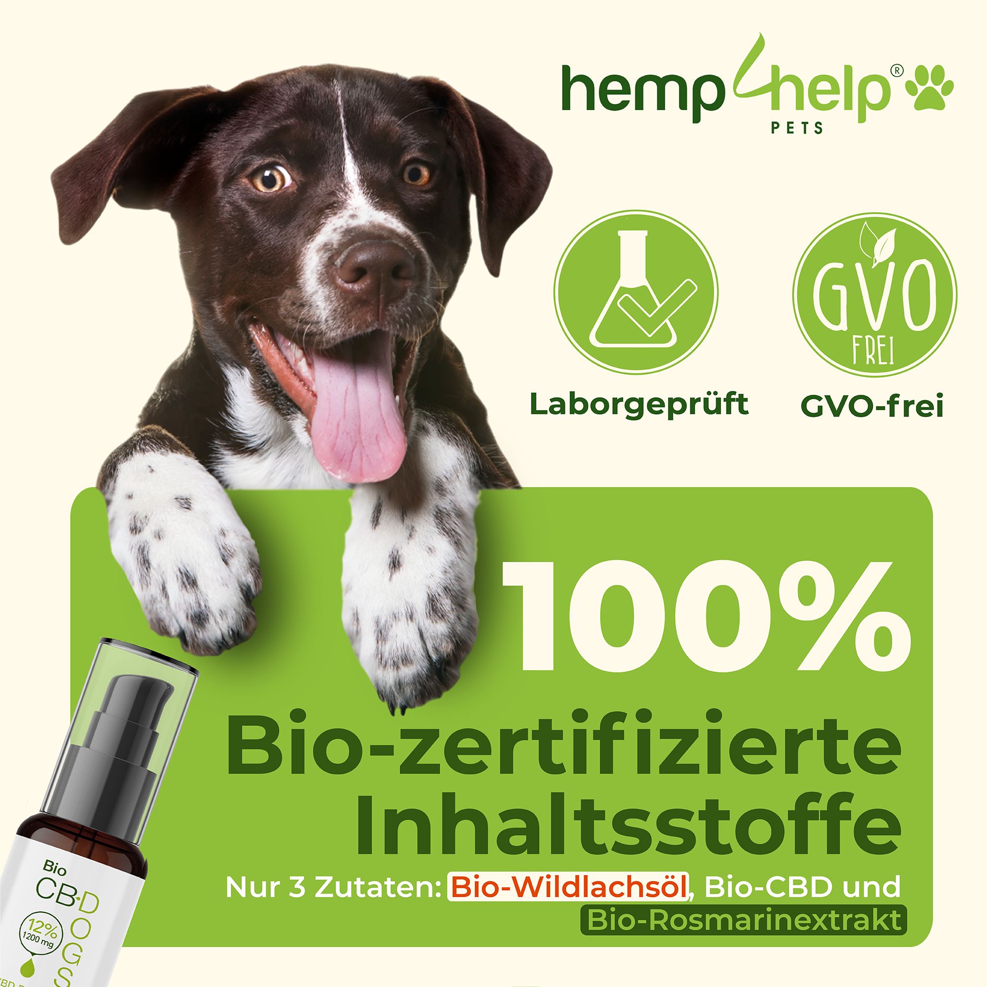 Hund mit Text: 100% Bio-zertifizierte Inhaltsstoffe. Logo: hemp4help PETS. Label: Laborgeprüft, GVO-frei. CBD-Öl-Flasche.