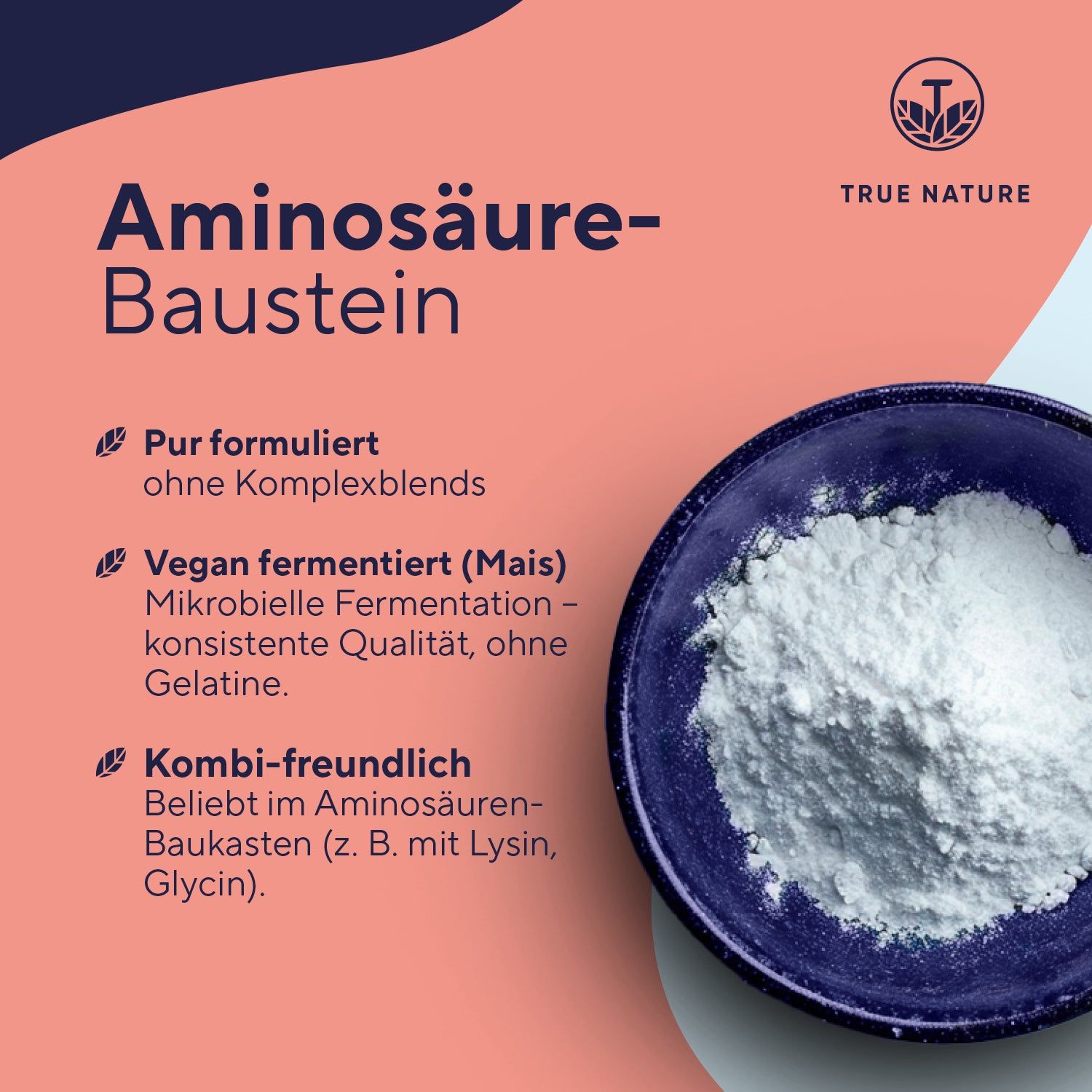 Weißes Pulver in einer blauen Schale. Text: Pur formuliert, vegan fermentiert, kombifreundlich. Logo: TRUE NATURE.