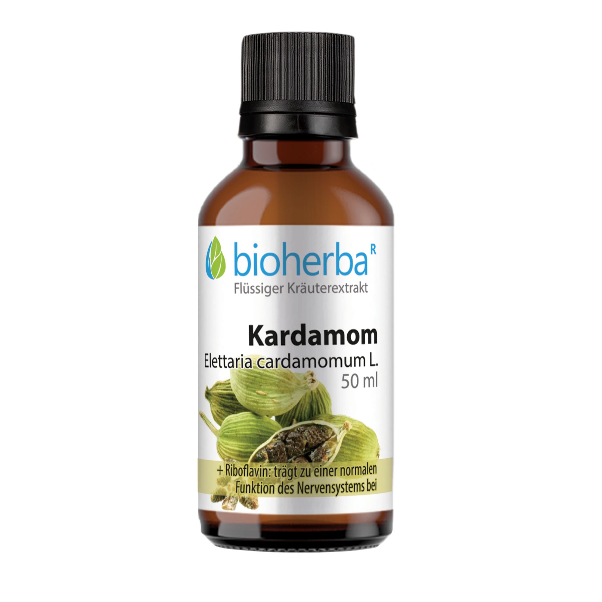 Bioherba Kardamom  Elettaria cardamomum L.  Tropfen  Tinktur Extrakt