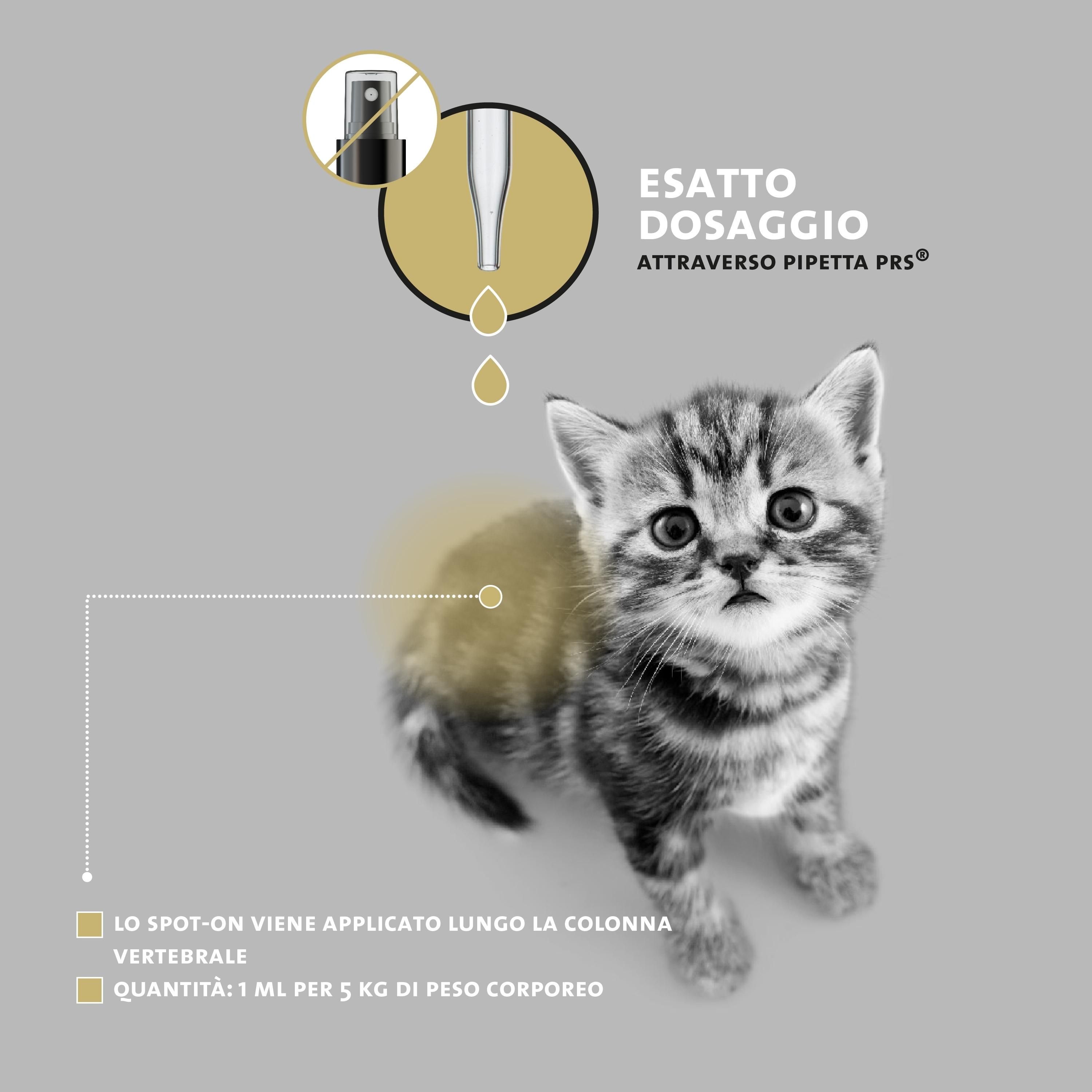 Spot-on-Anwendung auf einer Katze. Text: Exakte Dosierung durch PRS-Pipetten. 1 ml pro 5 kg Körpergewicht.