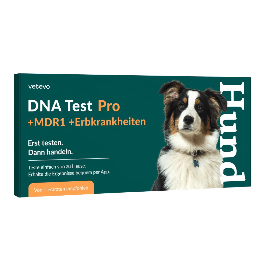 Produktverpackung: DNA Test Pro +MDR1 +Erbkrankheiten. Text: Erst testen. Dann handeln. Von Tierärzten empfohlen. Hund abgebildet.