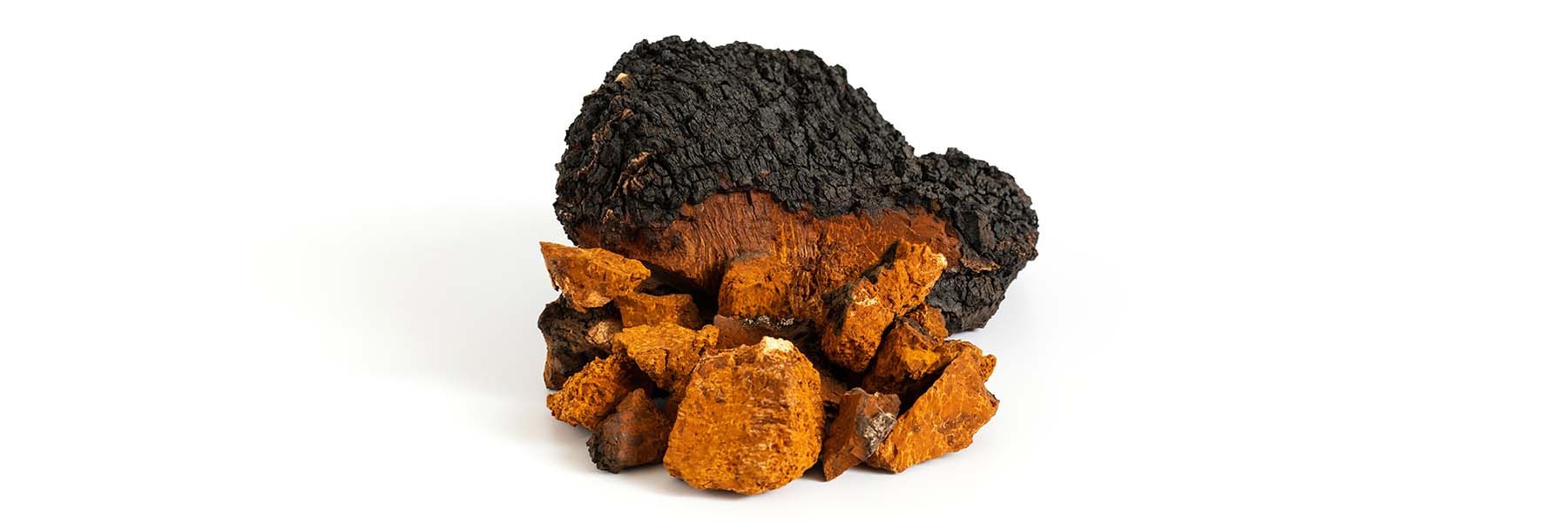 Schwarze Dose mit BIO CHAGA Vitalpilz Extrakt Kapseln, daneben zwei Kapseln.