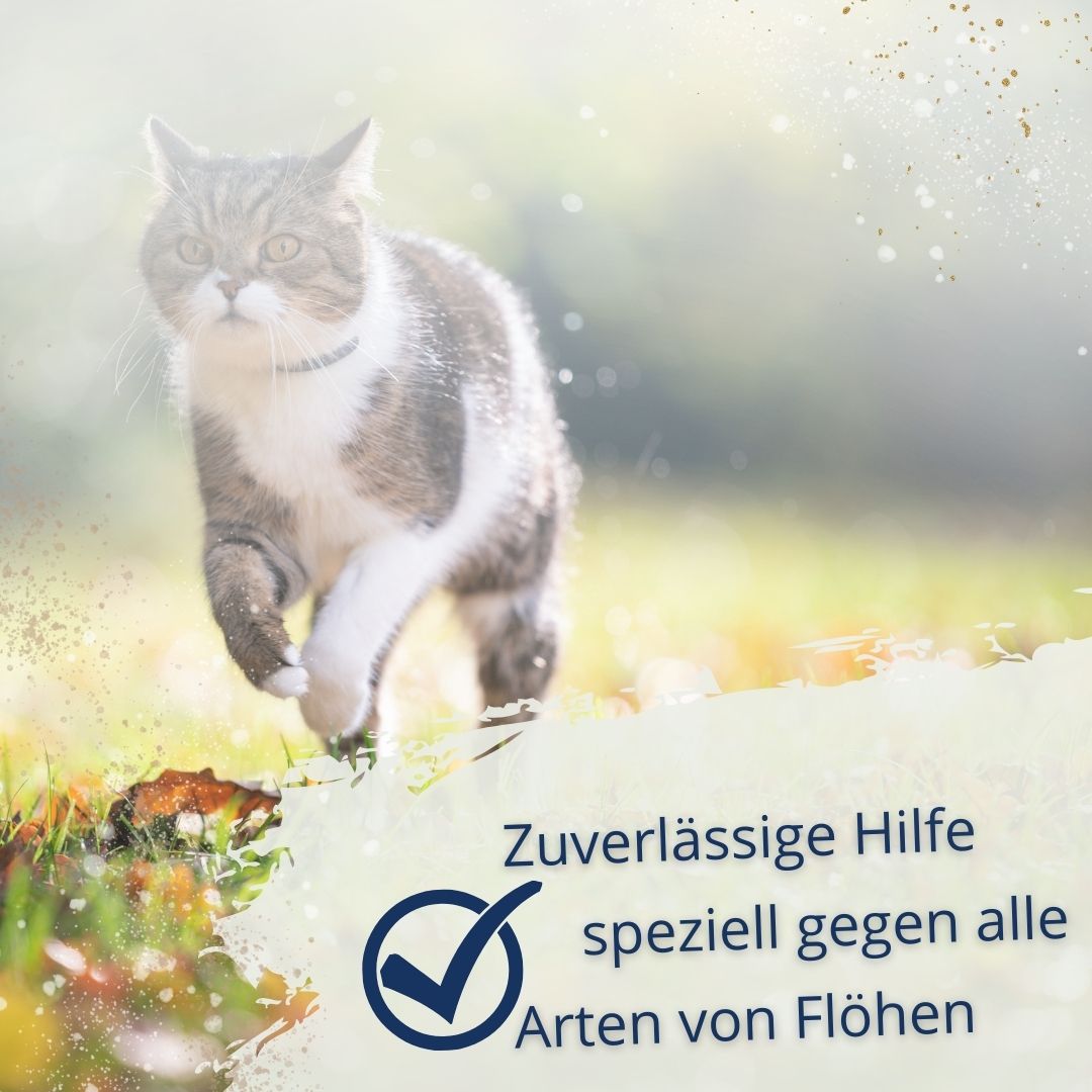 Eine Katze rennt durch Gras, mit Text über Flohschutz.
