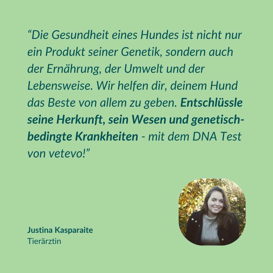 Tierärztin Justina Kasparaite: DNA-Test enthüllt Herkunft, Wesen und Erbkrankheiten.