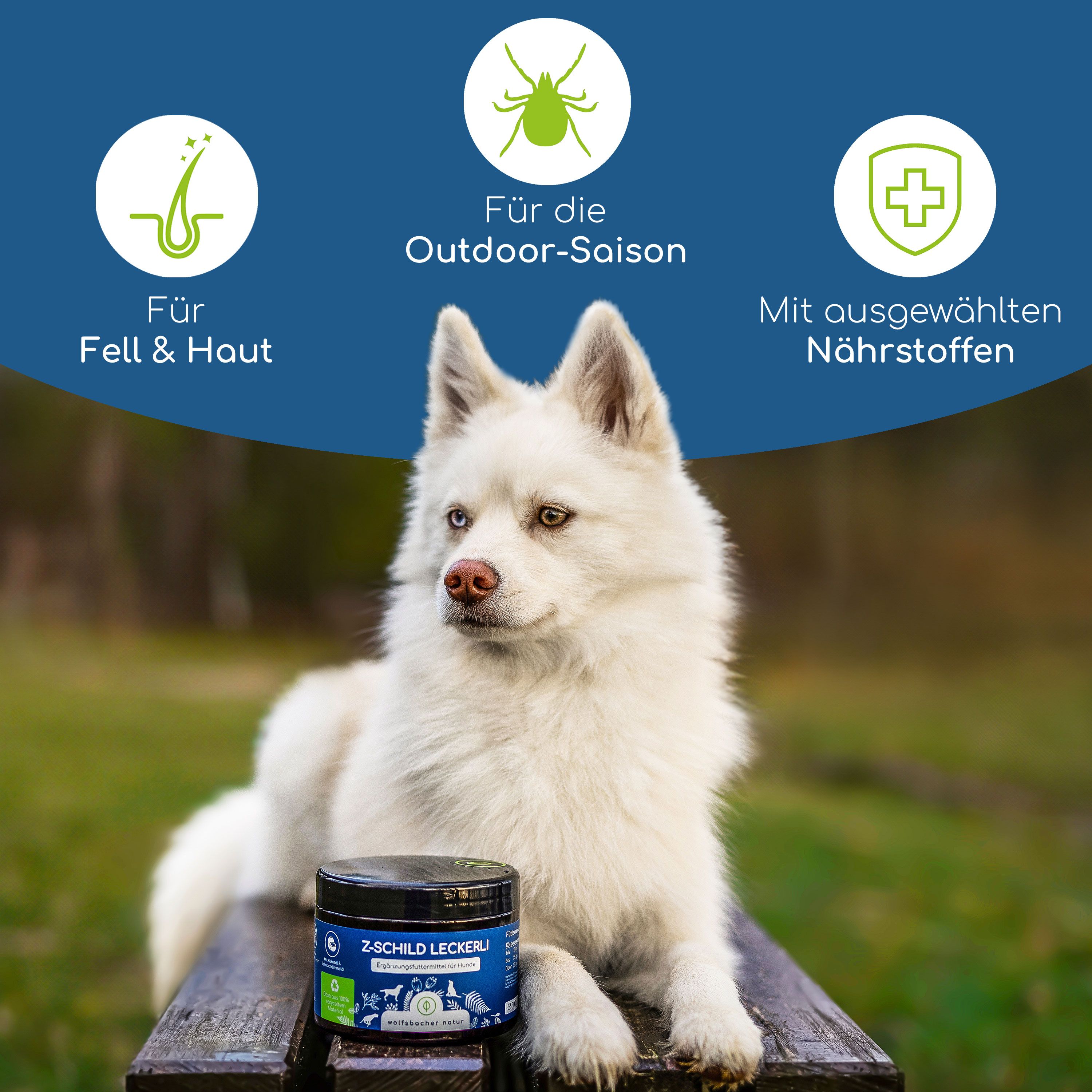 Dose Z-Schild Leckerli neben Hund. Text: Für Fell & Haut, Für die Outdoor-Saison, Mit ausgewählten Nährstoffen. Blauer Hintergrund.