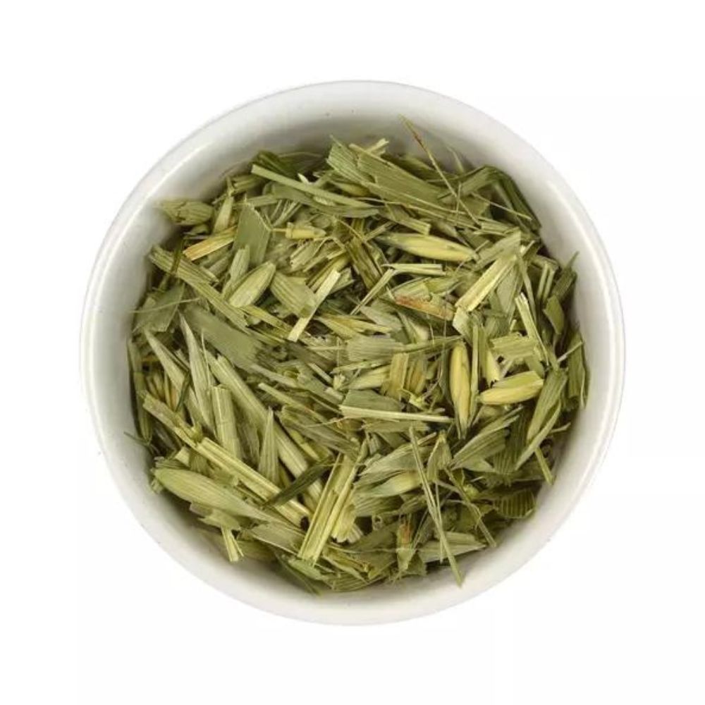 Grüner Hafer in weißer Schale. Draufsicht. Helle, grüne Blätter.