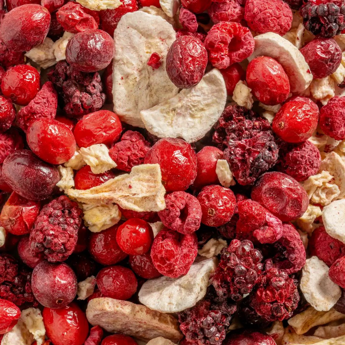 Nahaufnahme von gefriergetrockneten Früchten: Himbeeren, Bananenscheiben, Cranberries, Brombeeren und Ananas.