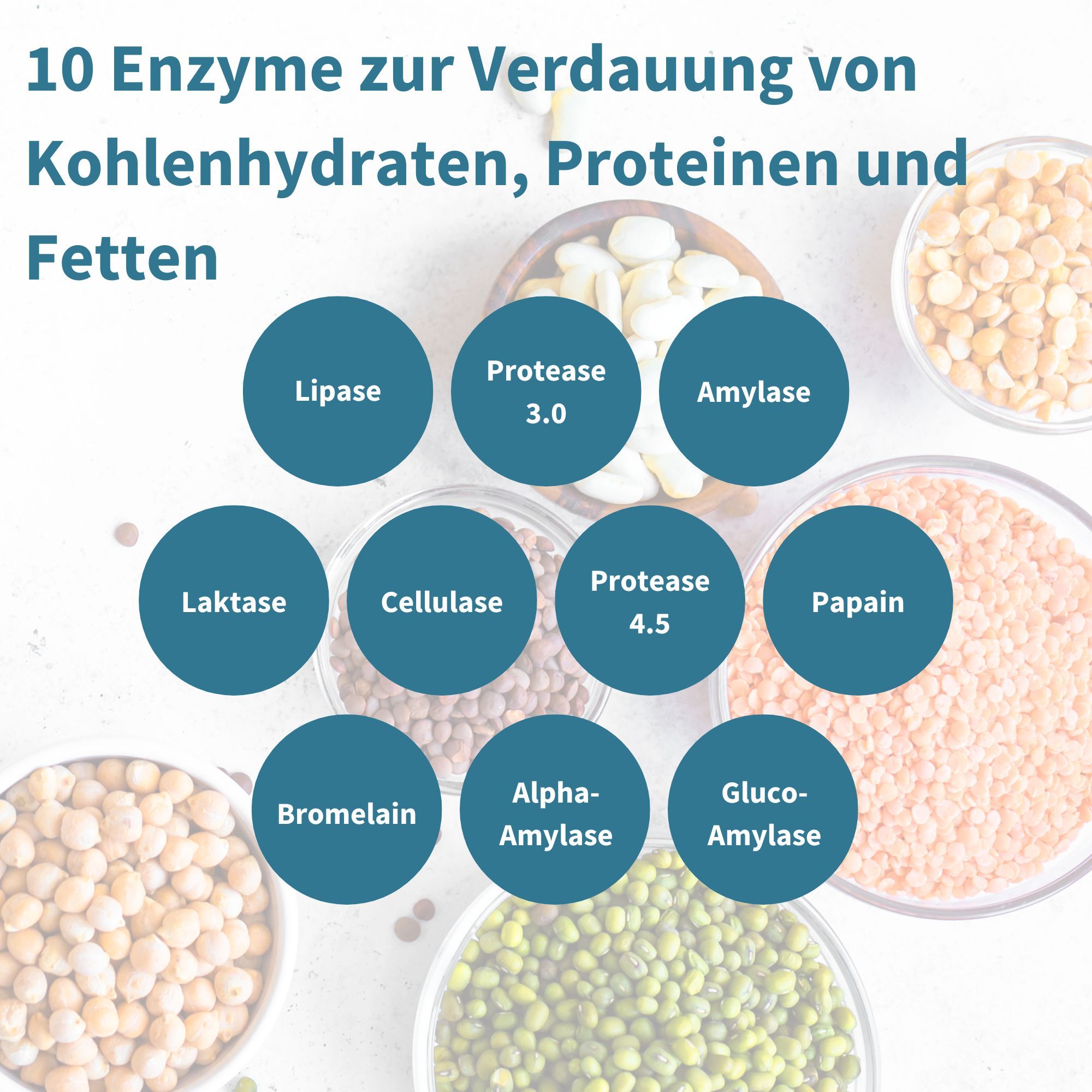 Grafik zeigt 10 Enzyme: Lipase, Protease, Amylase, Laktase, Cellulase, Papain, Bromelain, Alpha-Amylase, Gluco-Amylase.