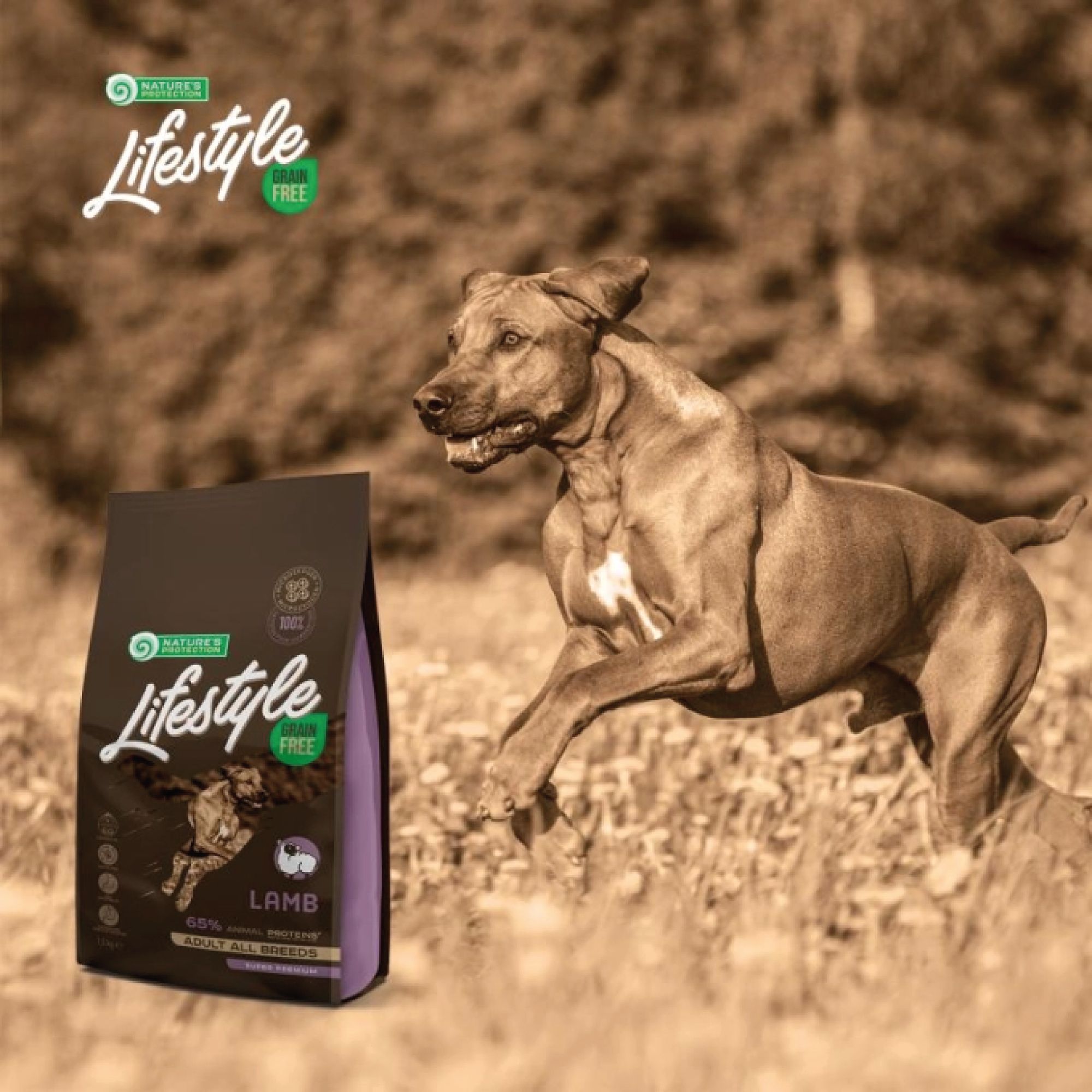 Braune Tüte mit Aufschrift Lifestyle Grain Free. Ein Hund rennt im Hintergrund. Enthält Lamm. Text: 65% tierisches Protein, Adult All Breeds.
