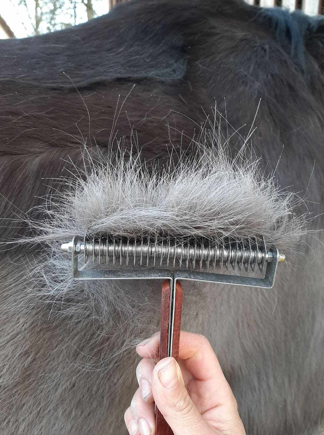 Person hält Metallstriegel mit Holzgriff an Fell. Striegel entfernt lose Haare. Graues Fell sichtbar.