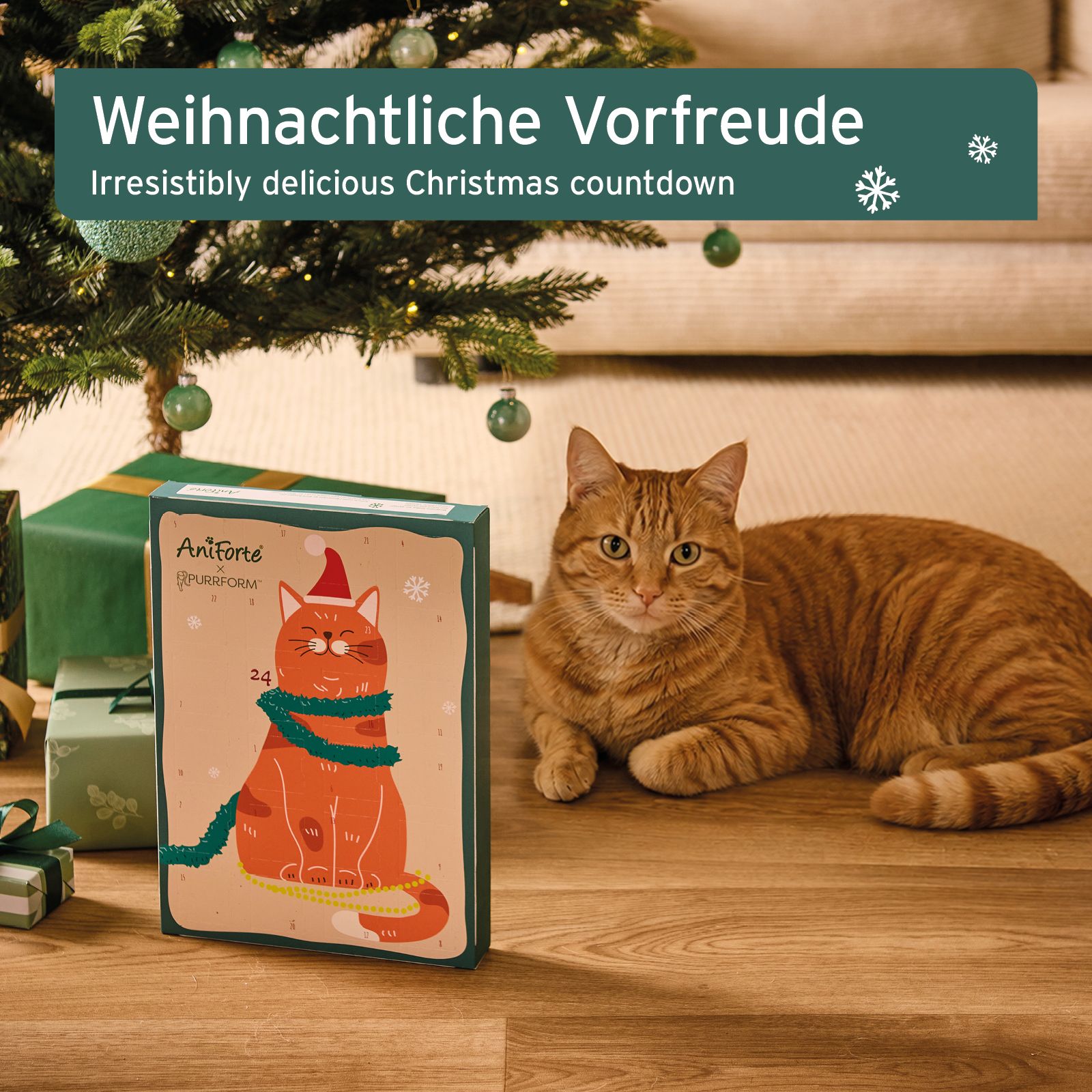 Ein Adventskalender für Katzen mit weihnachtlichem Design, neben einem orangefarbenen Kater unter einem Weihnachtsbaum.