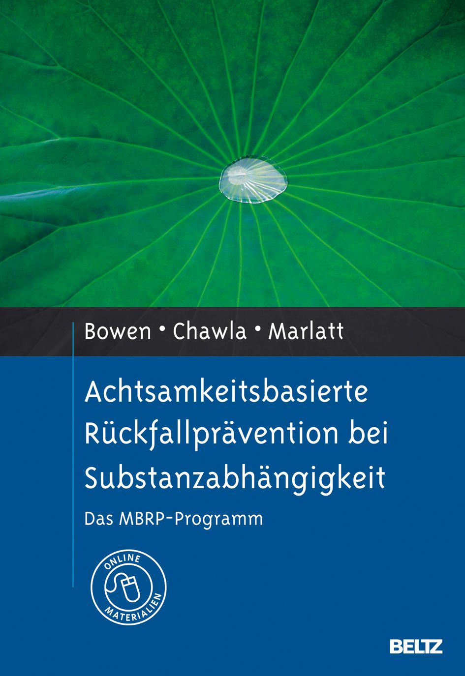 Achtsamkeitsbasierte Rückfallprävention bei Substanzabhängigkeit