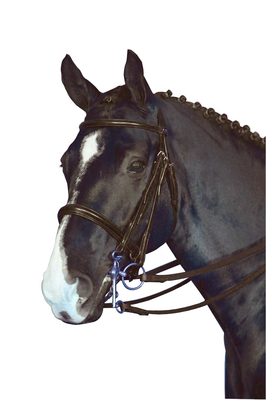 Hubertus Classic Kandarenzaum. Schwarzer Lederzaum mit silberfarbenen Schnallen und Gebiss. Pferd mit Zopf. Nahaufnahme.