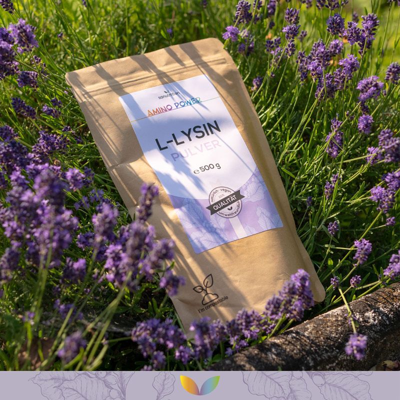 Beutel mit L-Lysin Pulver, 500g. Braune Verpackung, weißes Etikett mit Produktbezeichnung und Qualitätszeichen. Umgeben von Lavendelblüten.