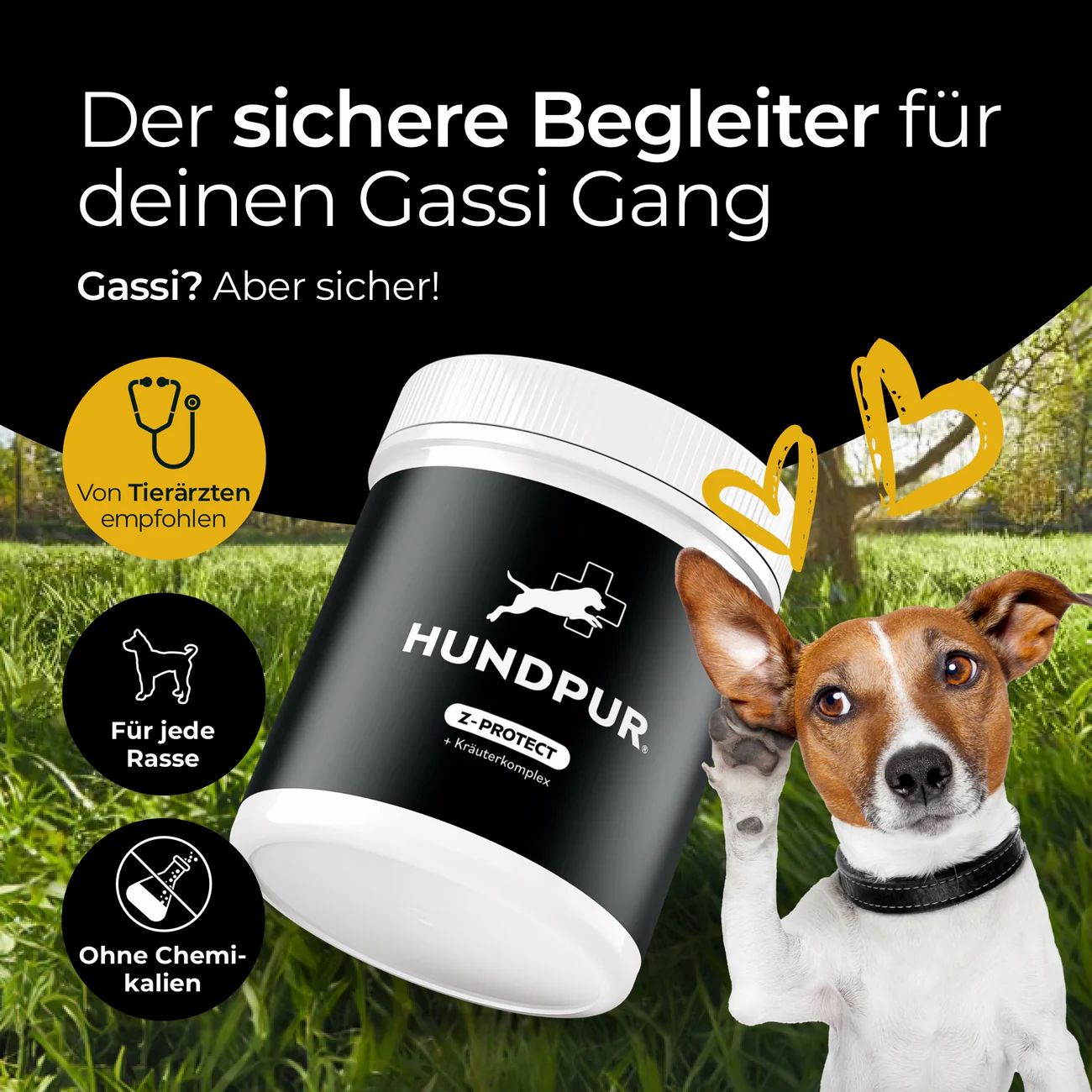 Schwarze Dose mit weißem Deckel. Aufschrift: HUNDPUR Z-PROTECT. Logo: Hund mit Kreuz. Zusätzliche Symbole und Text.
