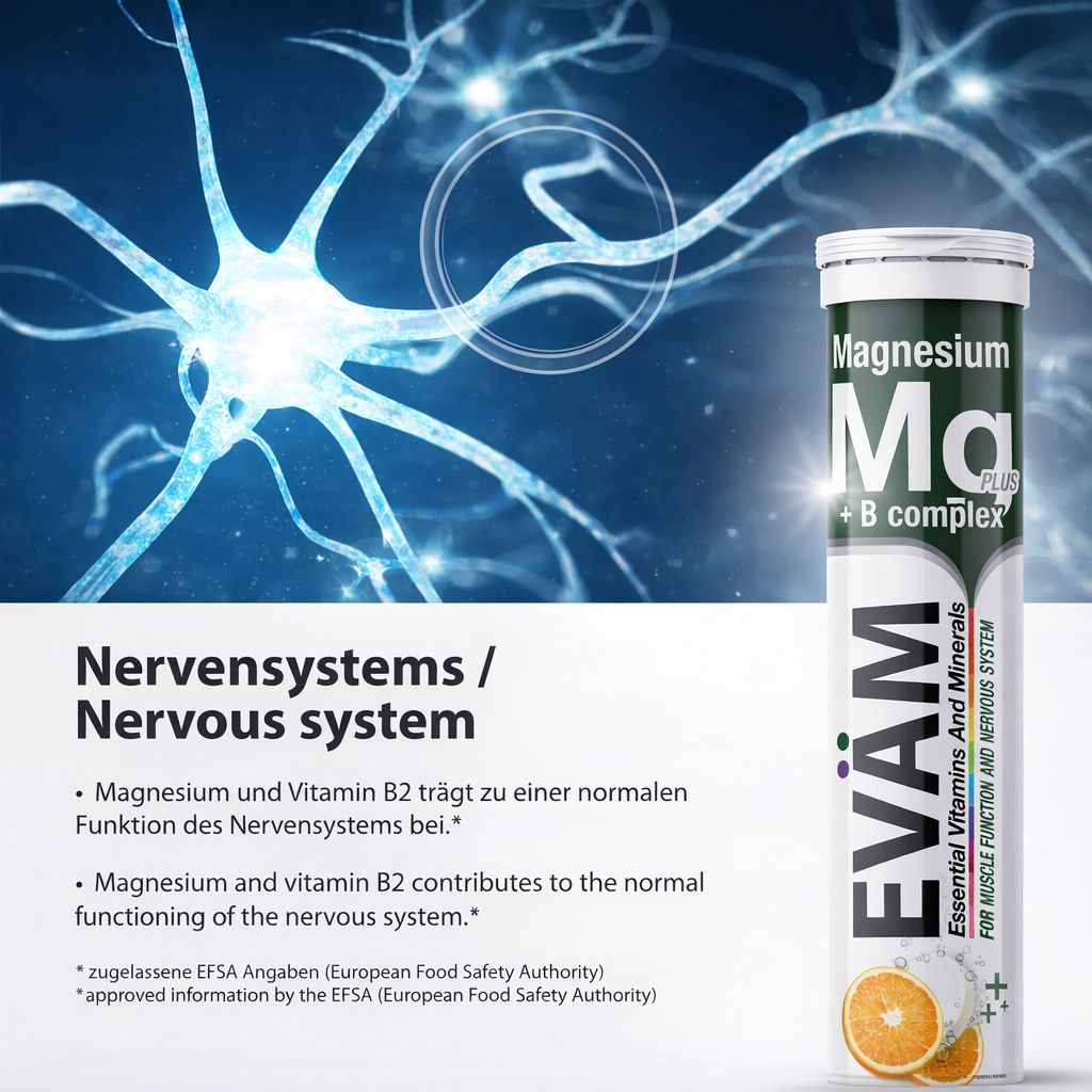 Blaues Bild mit Nervenbahnen. Daneben eine Tube EVÄM Magnesium + B Complex. Text: Nervensystem. Orangen-Abbildung.