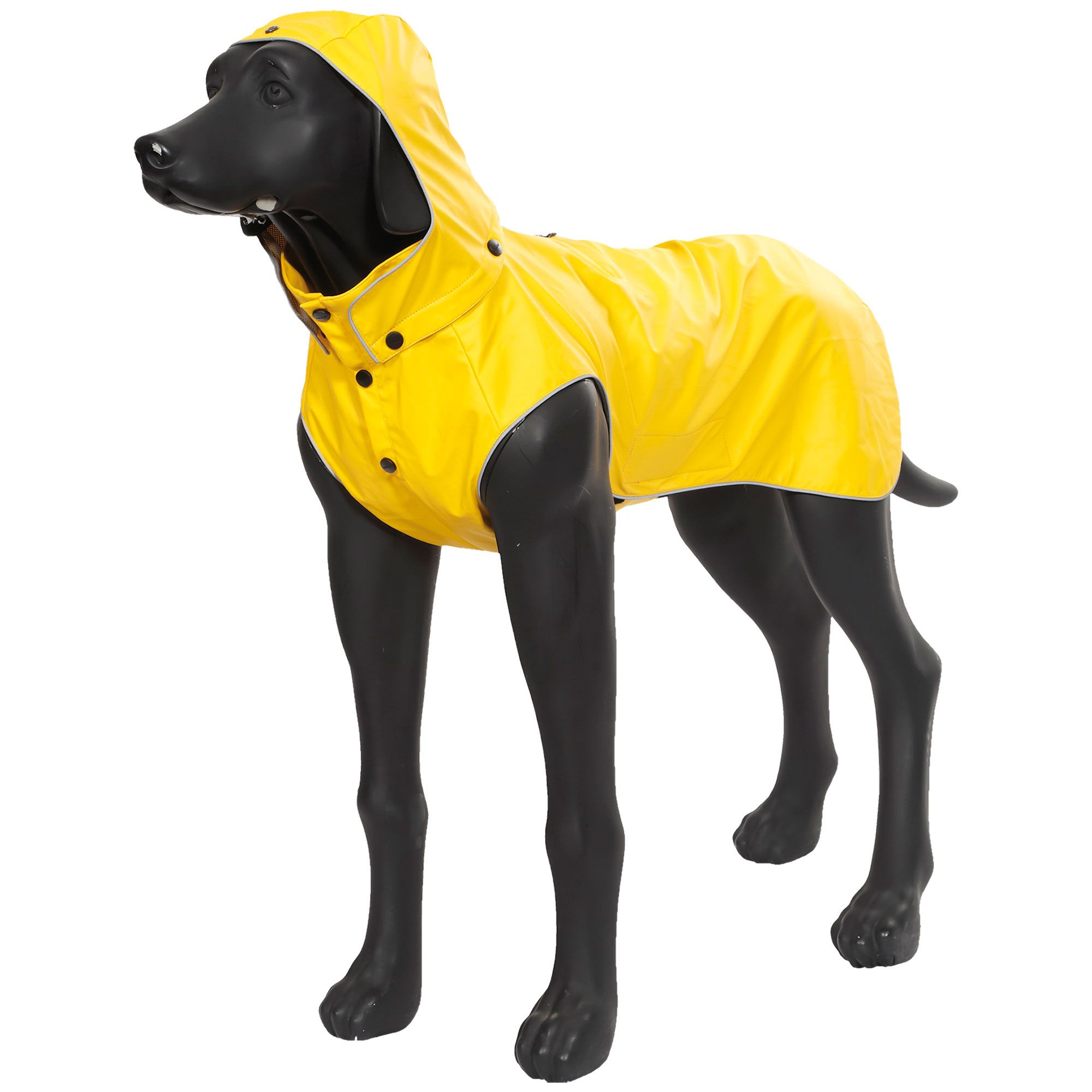 Gelber Hunde-Regenmantel mit Kapuze und Knöpfen. Auf schwarzem Hundemodell. Rückenlänge 35 cm.