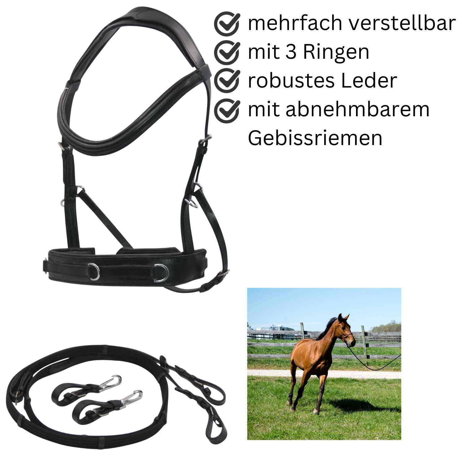 Schwarzer Reitkappzaum mit 3 Ringen und abnehmbarem Gebissriemen. Robustes Leder. Mehrfach verstellbar.