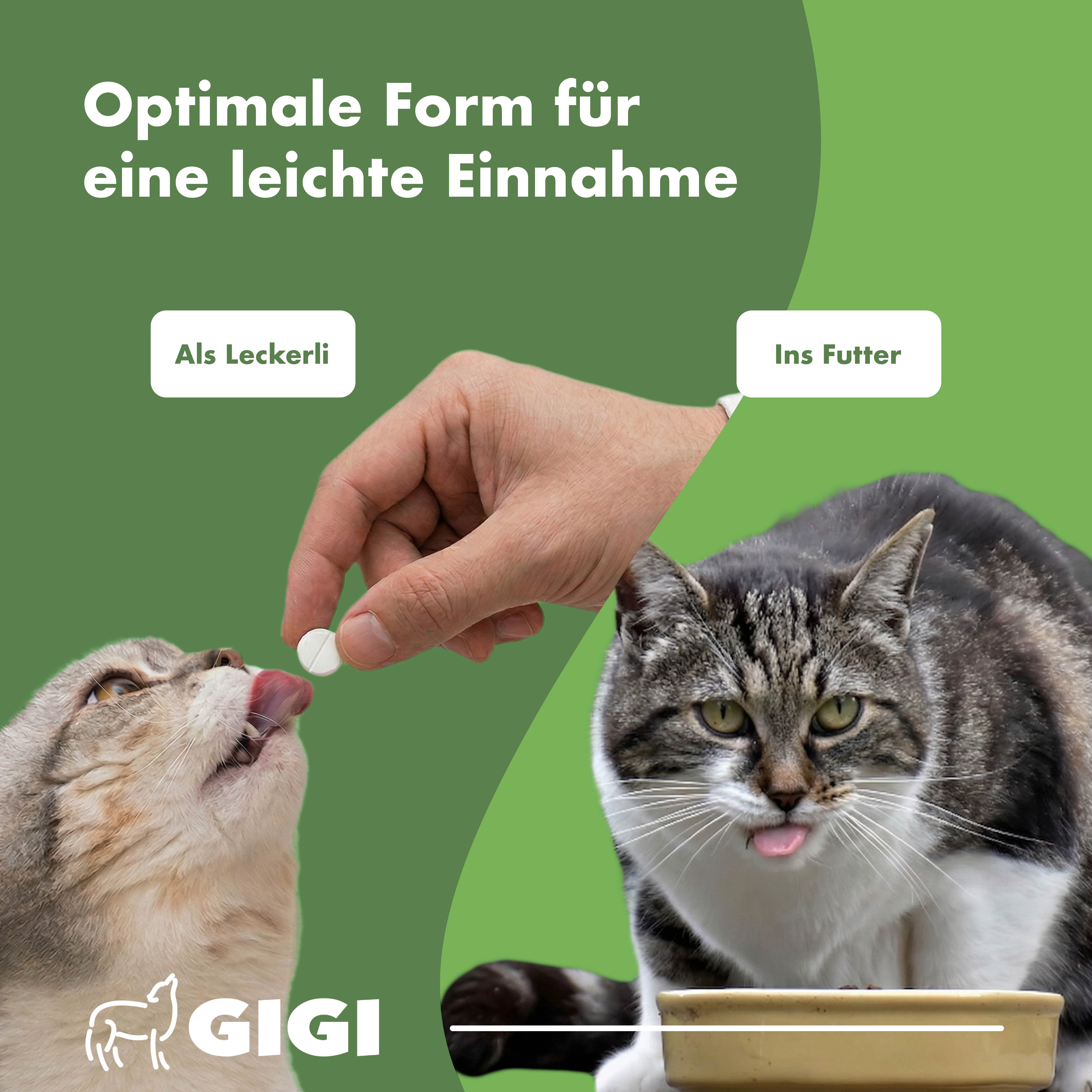 Katze bekommt Tablette. Text: Optimale Form für eine leichte Einnahme. Als Leckerli oder ins Futter. Katze leckt sich die Lippen.