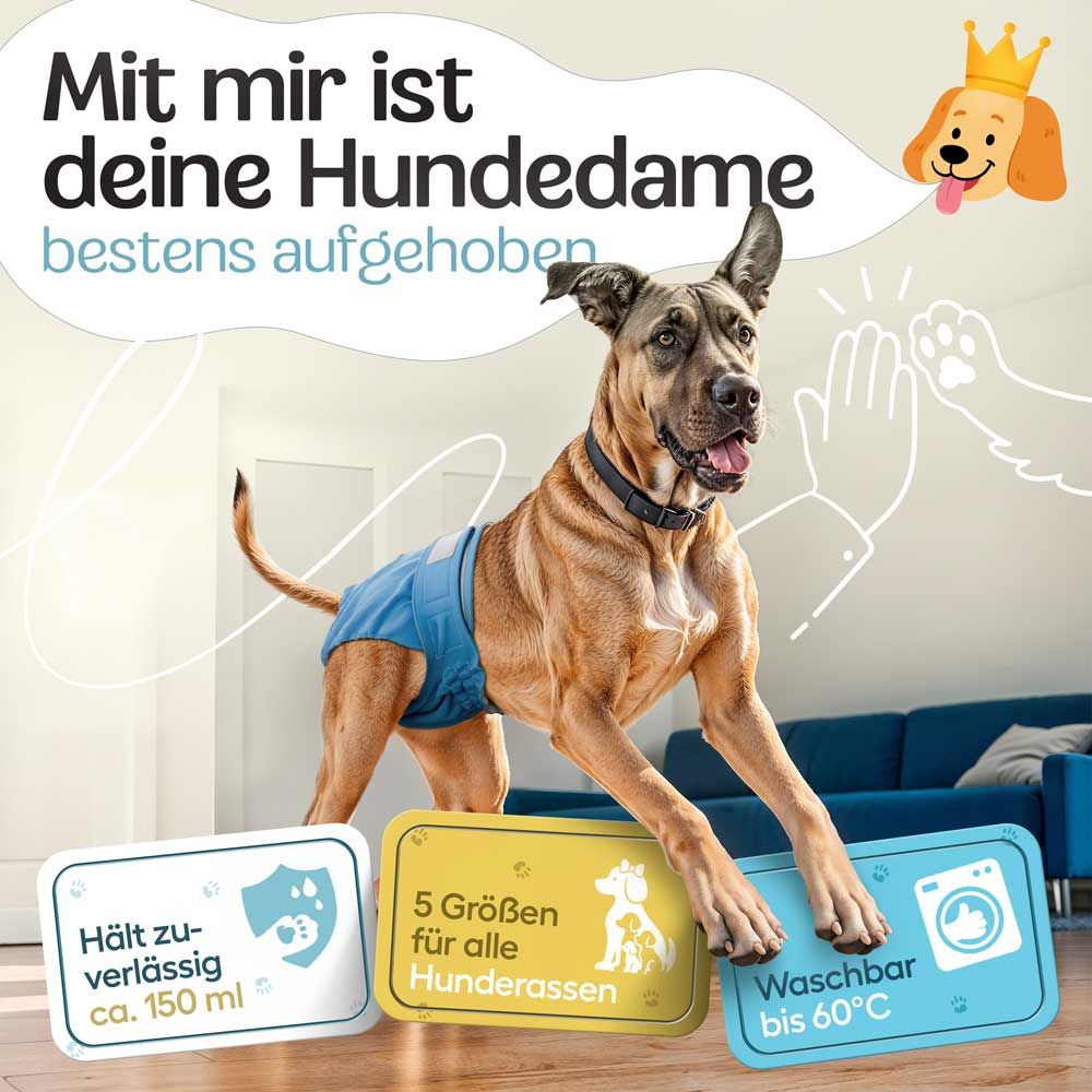 Hündin mit blauer Windel. Text: Hält zuverlässig ca. 150 ml. 5 Größen für alle Hunderassen. Waschbar bis 60°C.