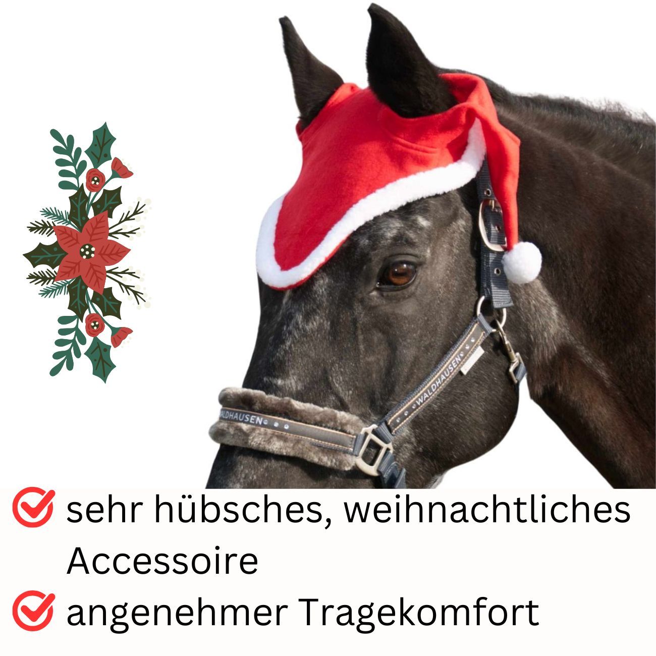 Schwarzes Pferd mit roter Weihnachtsmütze. Das Pferd trägt einen Halfter.