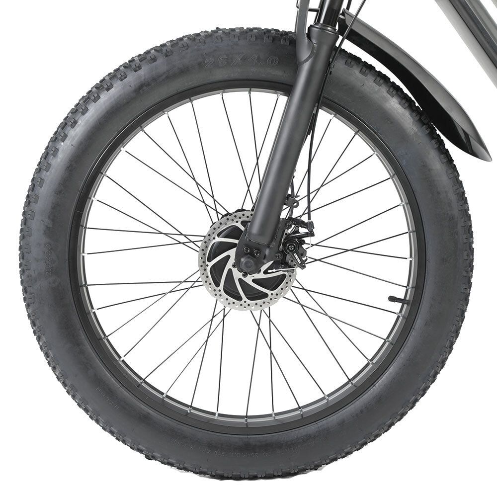 RICH BIT C01 Elektrisches Mountainbike, 48V 20Ah Akku, Vollfederung