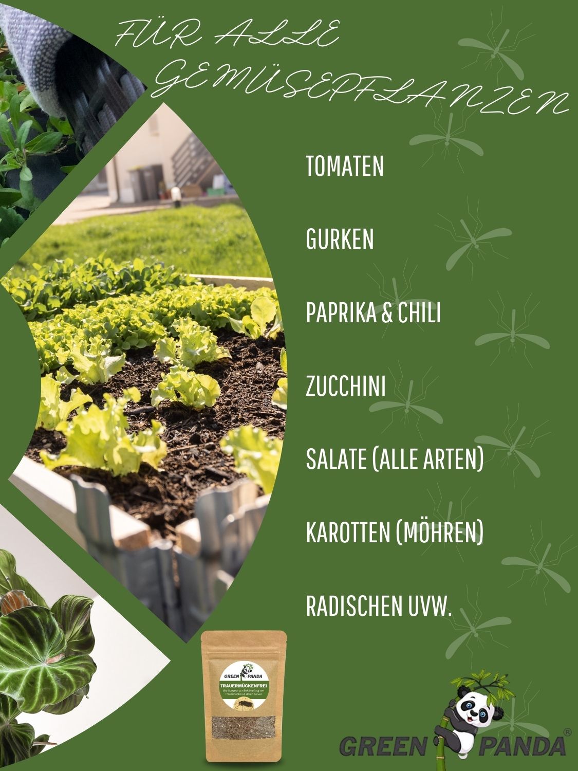 Grüner Hintergrund mit Text für Gemüse. Enthält eine Packung GreenPanda Trauermücken-Frei. Gemüse wie Tomaten, Gurken, Paprika, Zucchini.