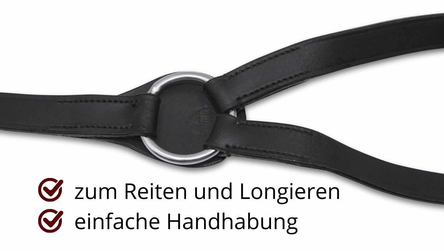 Schwarzer Lederriemen mit Metallring. Zum Reiten und Longieren. Einfache Handhabung.