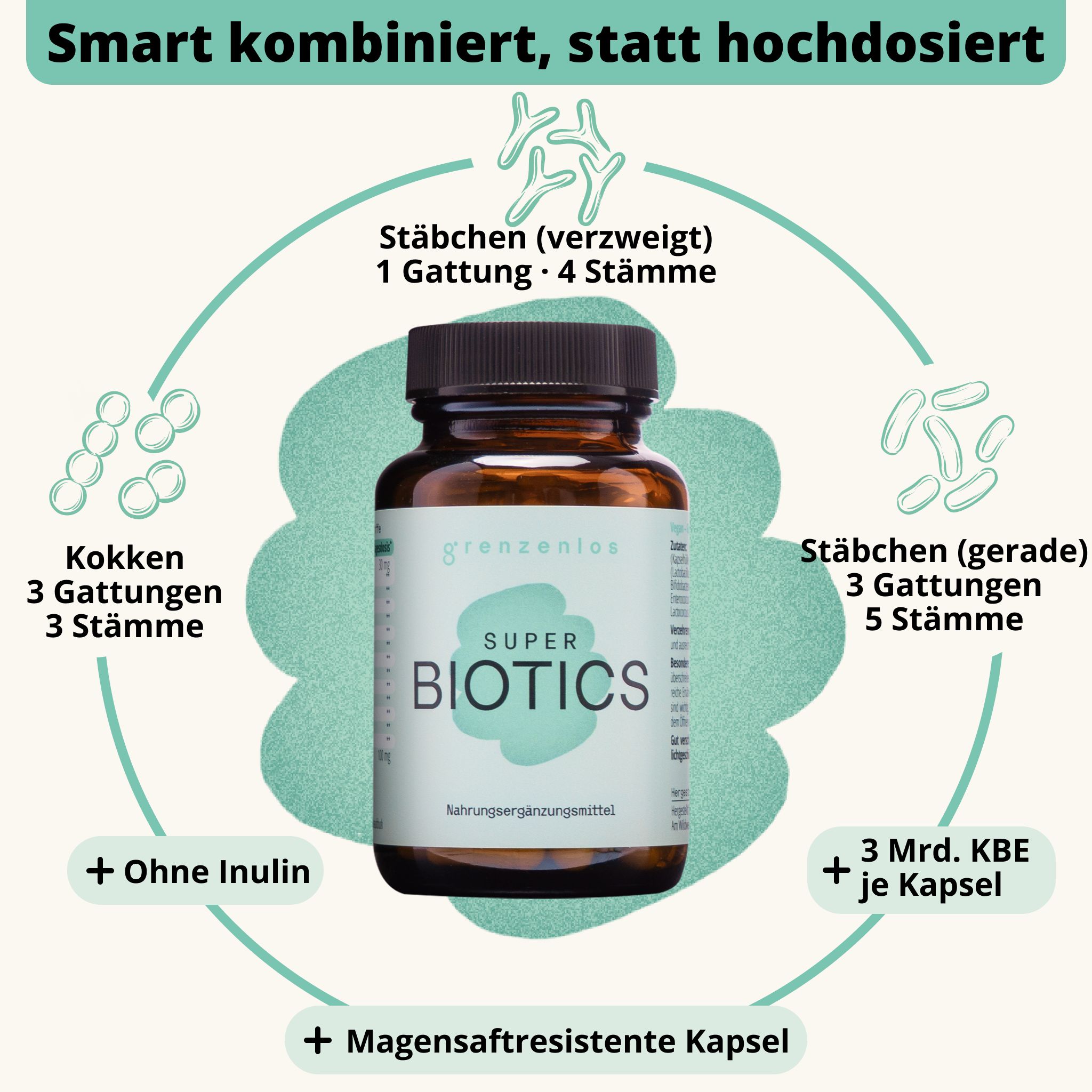 Schema zur Zusammensetzung von grenzenlos SUPER BIOTICS. Zeigt 4 Stämme, 3 Stämme, 5 Stämme, 3 Gattungen, 3 Gattungen. Ohne Inulin, 3 Mrd. KBE/Kapsel, magensaftresistent.