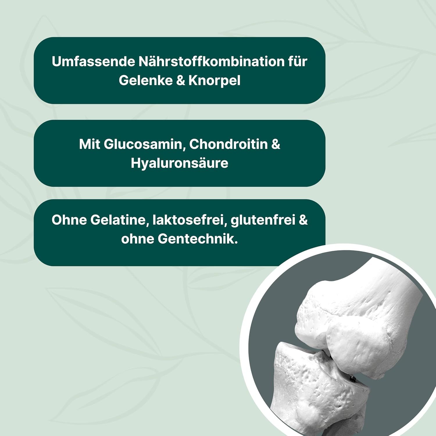 Illustration eines Knies. Text: Umfassende Nährstoffkombination für Gelenke & Knorpel. Mit Glucosamin, Chondroitin & Hyaluronsäure. Ohne Gelatine, laktosefrei, glutenfrei & ohne Gentechnik.